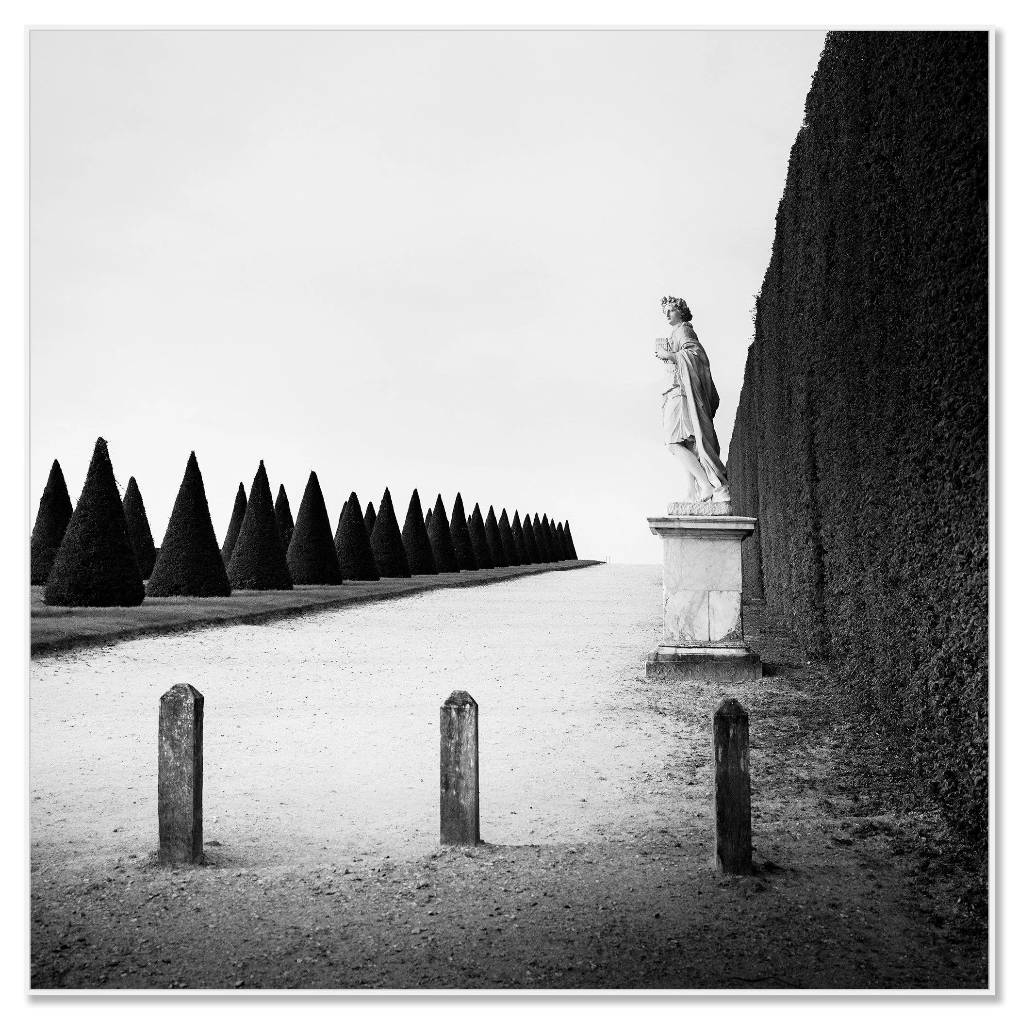 © 2017 Gerald Berghammer - Black and white landscape photography. Statue of a person along a tall hedge, with a row of trimmed cone-shaped trees. Chromaluxe framed white