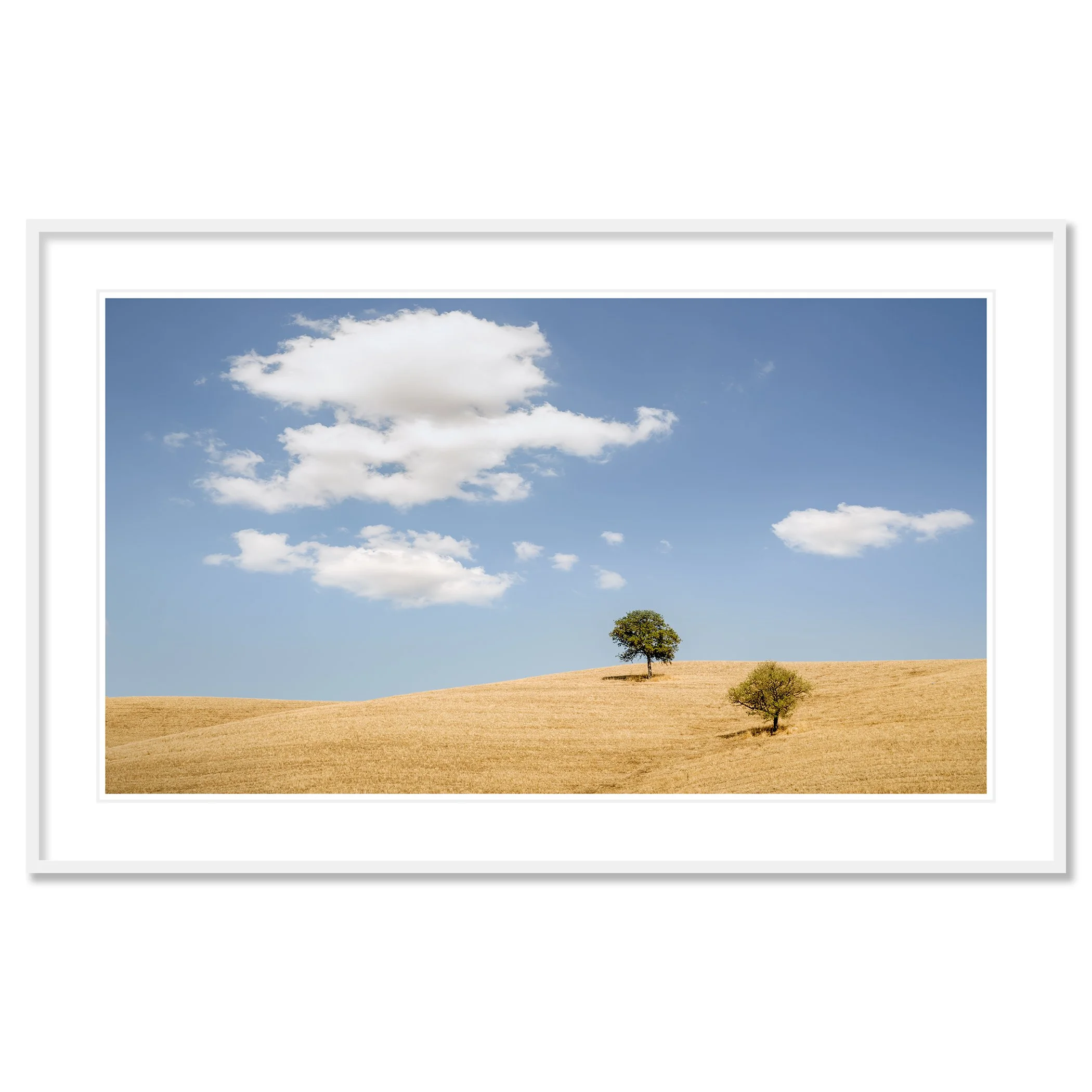 Gerald Berghammer - Black and white minimalist photography. Landscape with two trees on a rolling hill under a blue sky with scattered white clouds. Classic framed white
