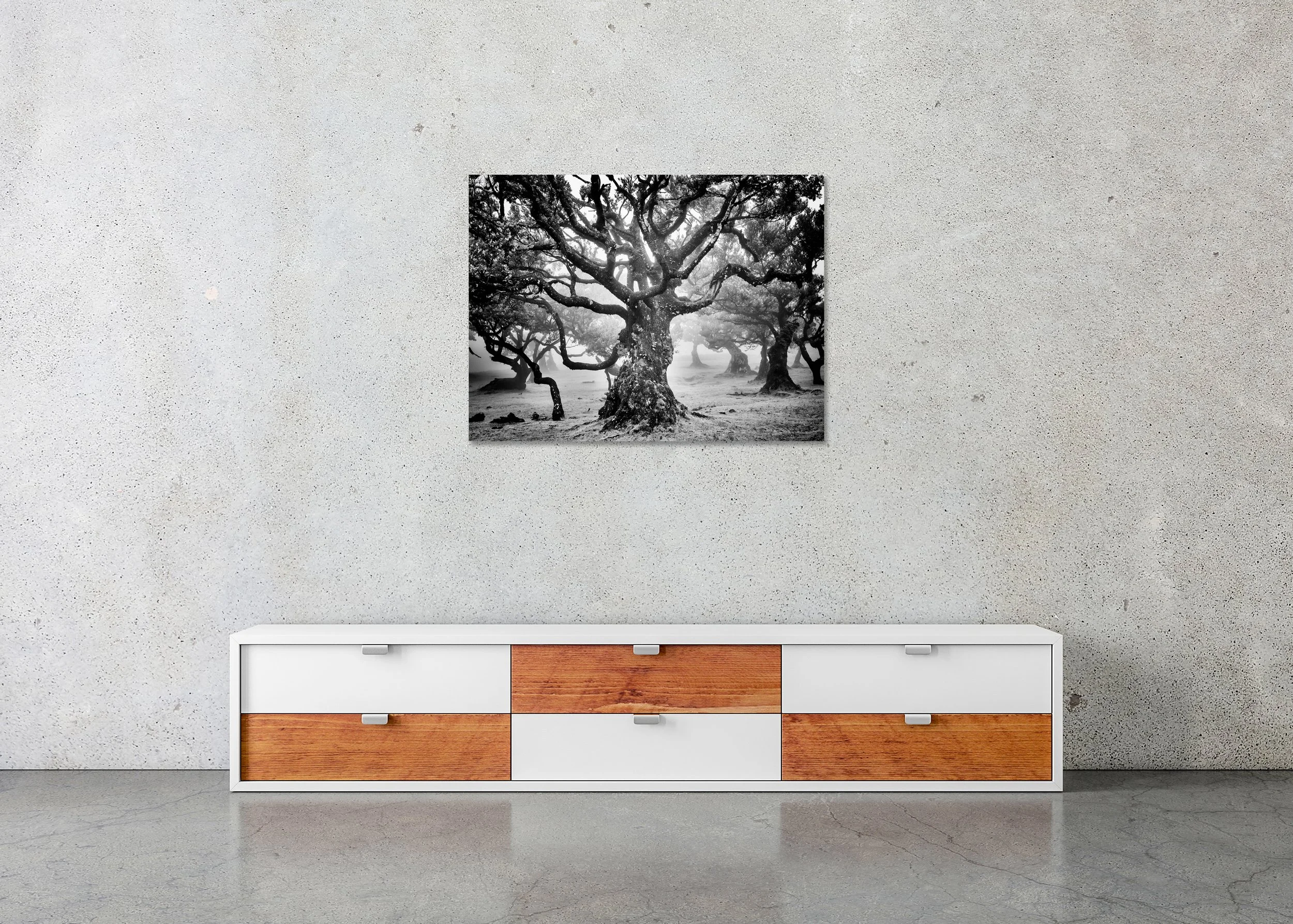 Ancient Laurisilva Forest Study 7 displayed in a modern interior as a frameless black-and-white artwork mounted on aluminium Dibond. Photo by Gerald Berghammer.