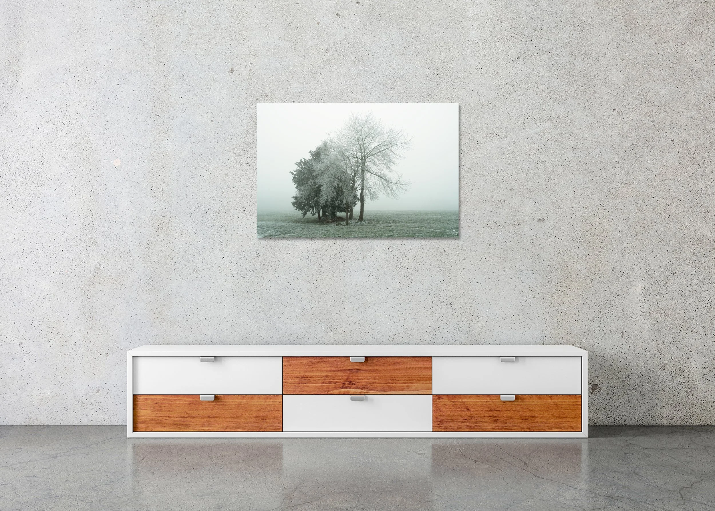 Group of Hoar-Frosted Trees Study 1 displayed in a modern interior as a frameless colour artwork mounted on aluminium Dibond by Gerald Berghammer.