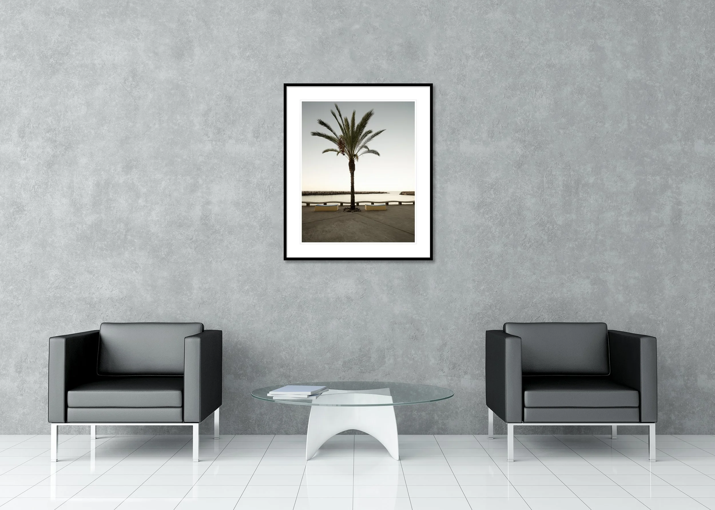 Palm tree centred on a quiet seaside promenade with benches, calm water, and a clear horizon under soft morning light. Archival Pigment Print – Classic Frame with Passe-Partout