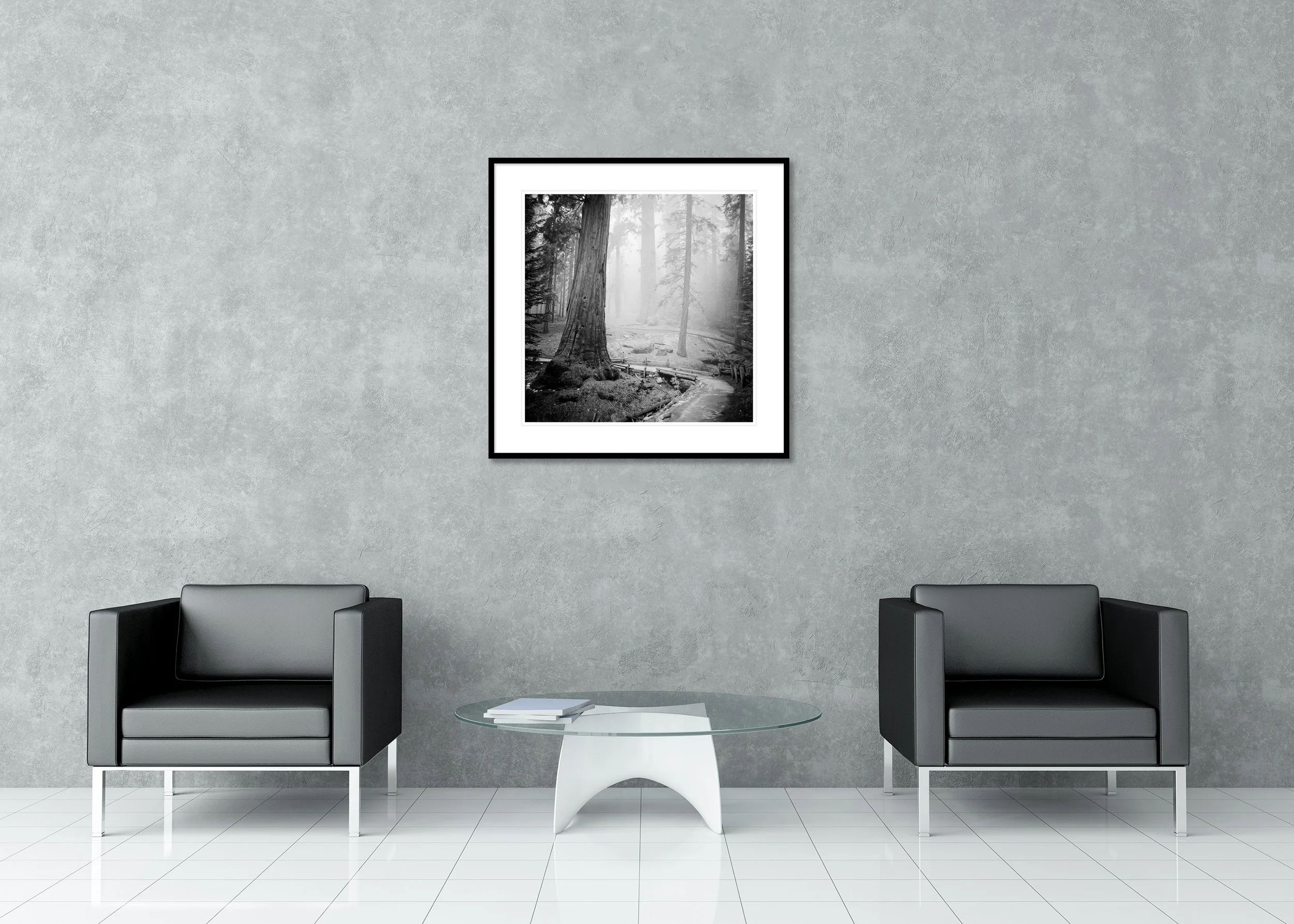 Redwood Study 2 displayed in a modern interior as an archival pigment print in an aluminium frame with white mount by Gerald Berghammer.