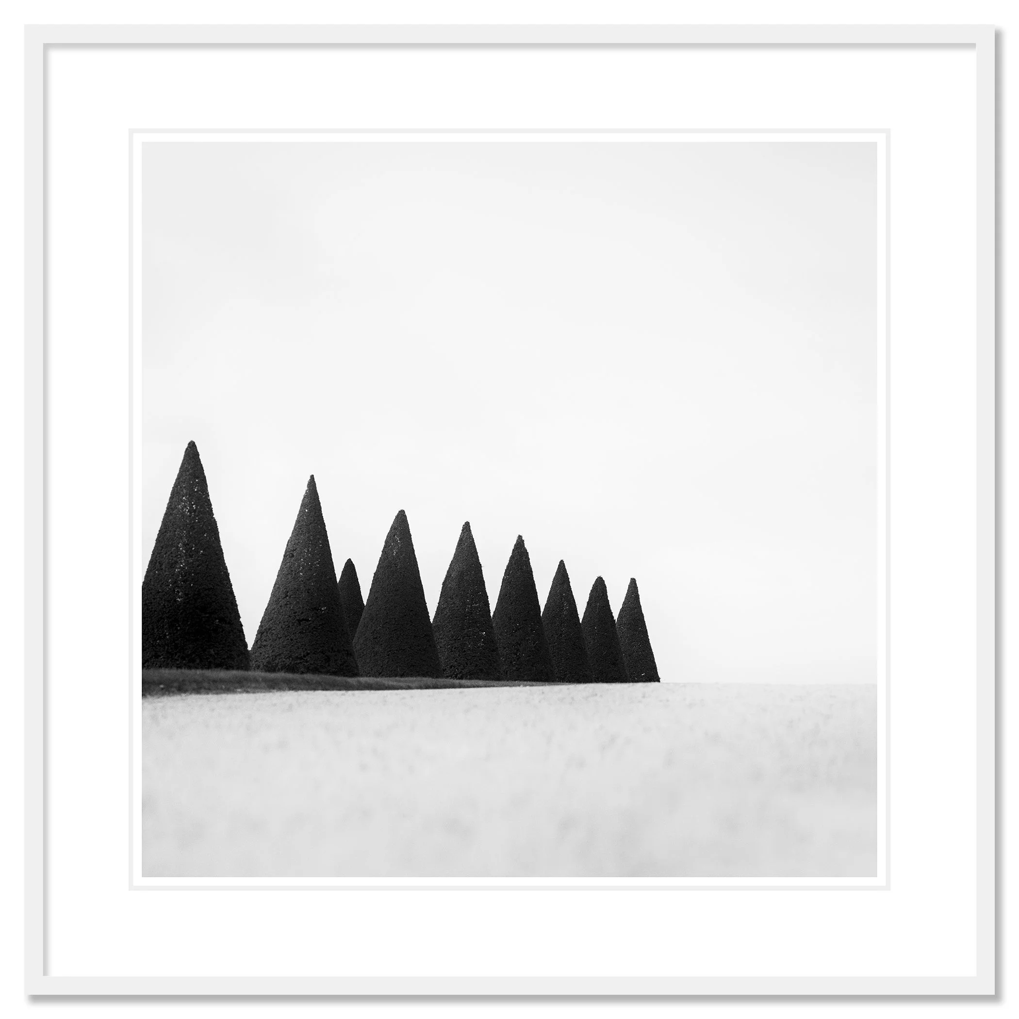 Hedges Study 3 – archival pigment print in a white aluminium frame with a white mount by Gerald Berghammer.