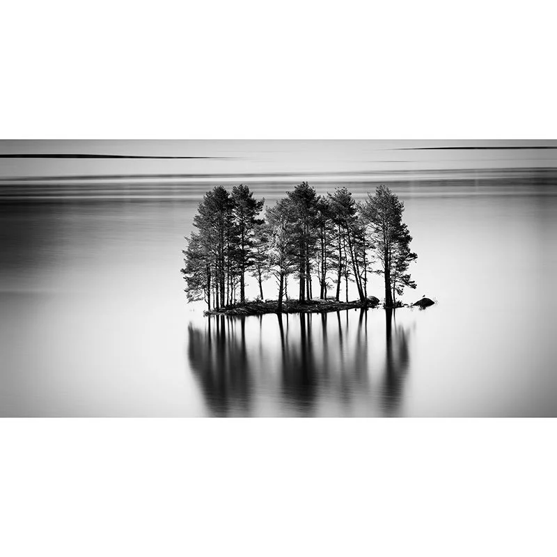 Row of Trees on Stone Island – Norway | Gerald Berghammer