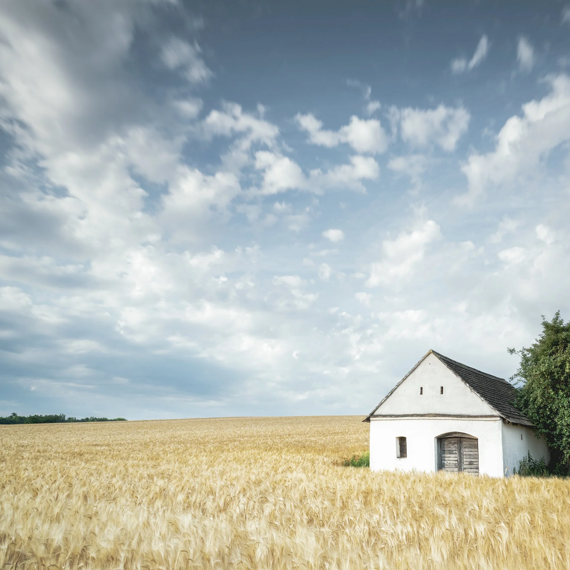© 2021 Gerald Berghammer - Color Fine Art Landscape Photography. Small wine press in a golden cornfield, beside a large green tree under a partly cloudy sky. Print detail 1