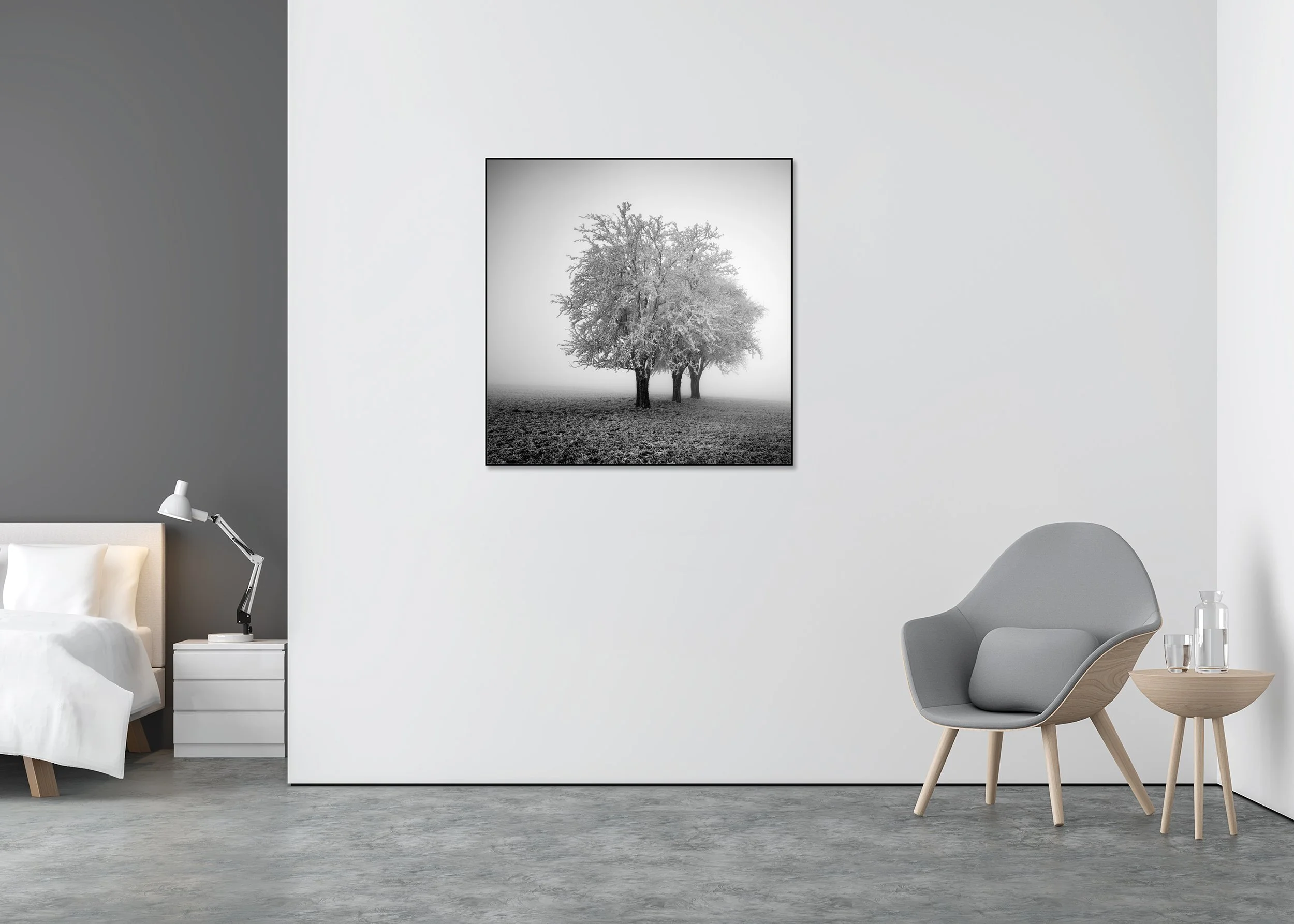 Frozen trees in dense fog across a frosty countryside field, photo print mounted on Dibond in an aluminium ArtBox