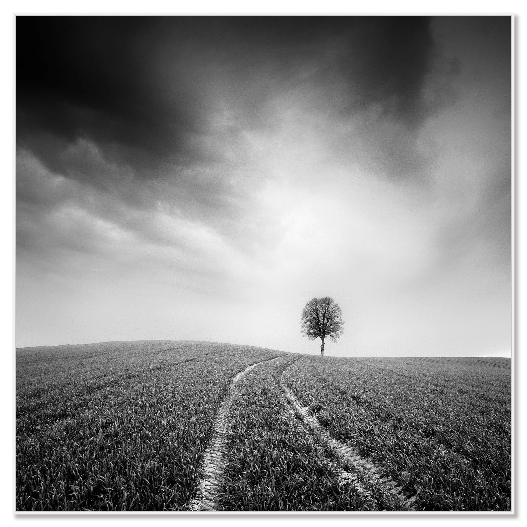 Farmland, Study 3 – Austria, black-and-white photograph on Dibond in a white aluminium ArtBox. Photo by Gerald Berghammer.
