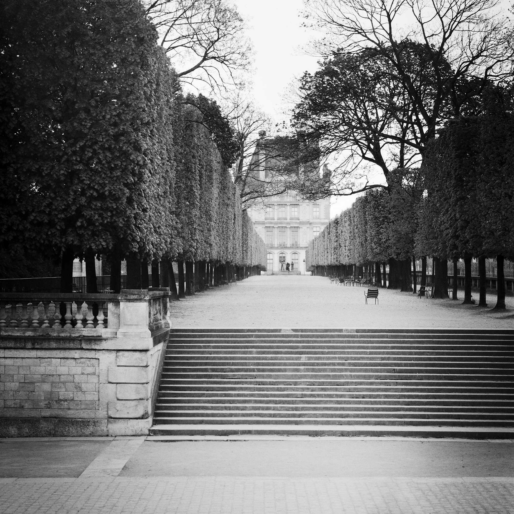 Symmetrical black and white photograph of a formal garden avenue with steps, benches and the Pavillon de Flore in the distance