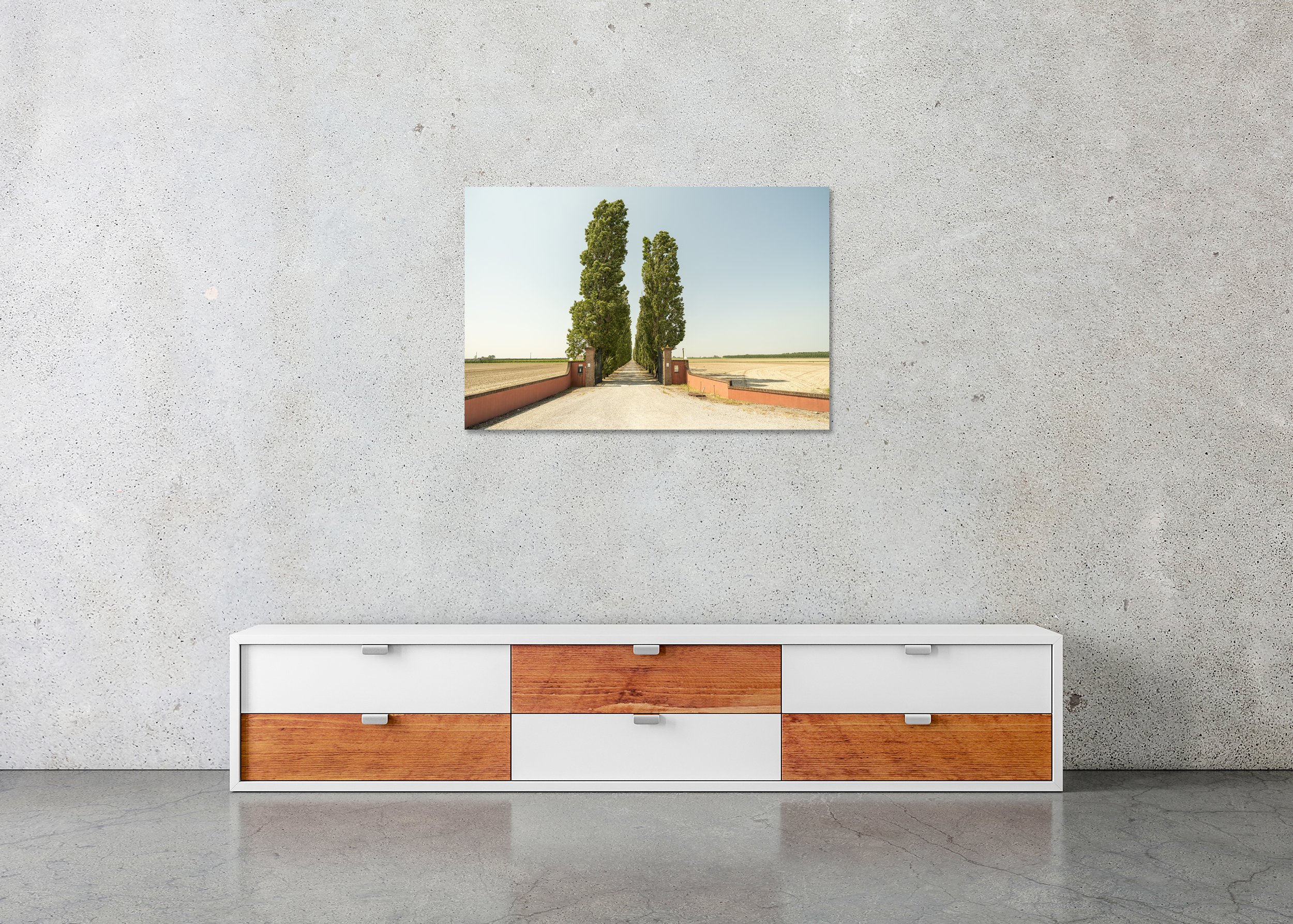The Way to the Vineyard, Tuscany, Italy as a colour photo print mounted to Dibond, frameless.