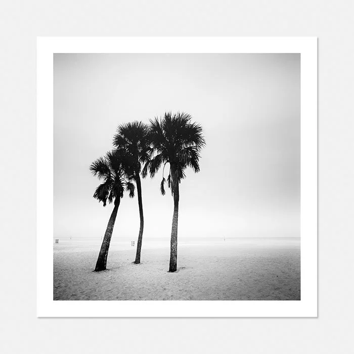 Palm Beach Study 1, Florida, USA, Edition 1/15