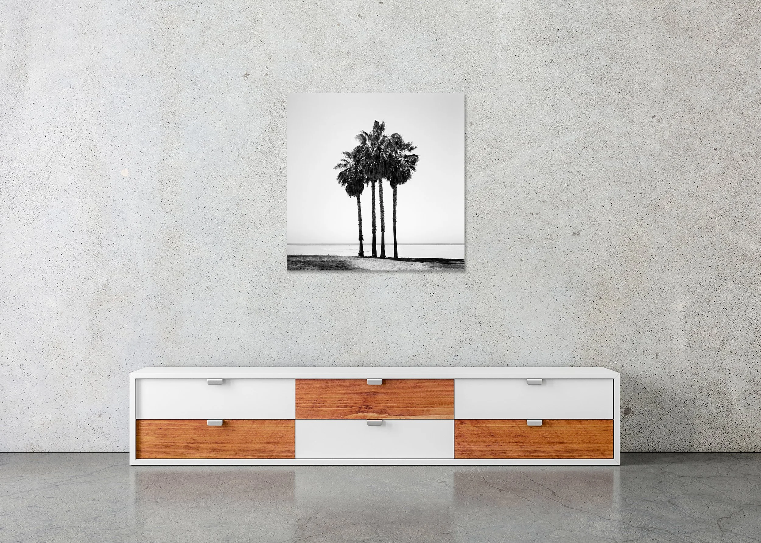 Four Palm Trees – California, USA, black-and-white photo print mounted to Dibond, frameless