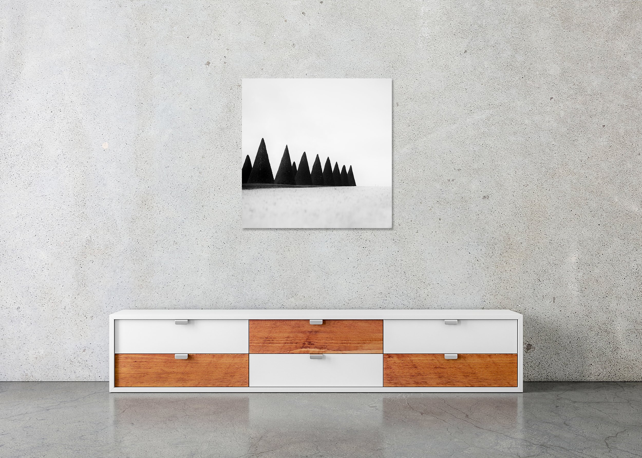 Hedges Study 3 displayed above a low cabinet as a frameless black-and-white aluminium Dibond print by Gerald Berghammer.