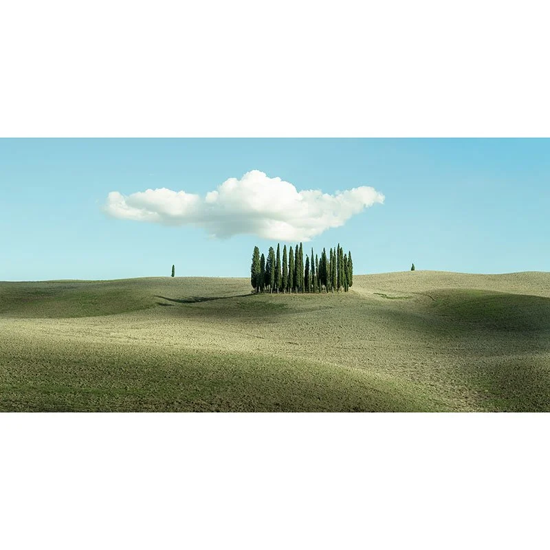 Gerald Berghammer - Hugh Cloud over Cypress Trees, Tuscany, Italy
