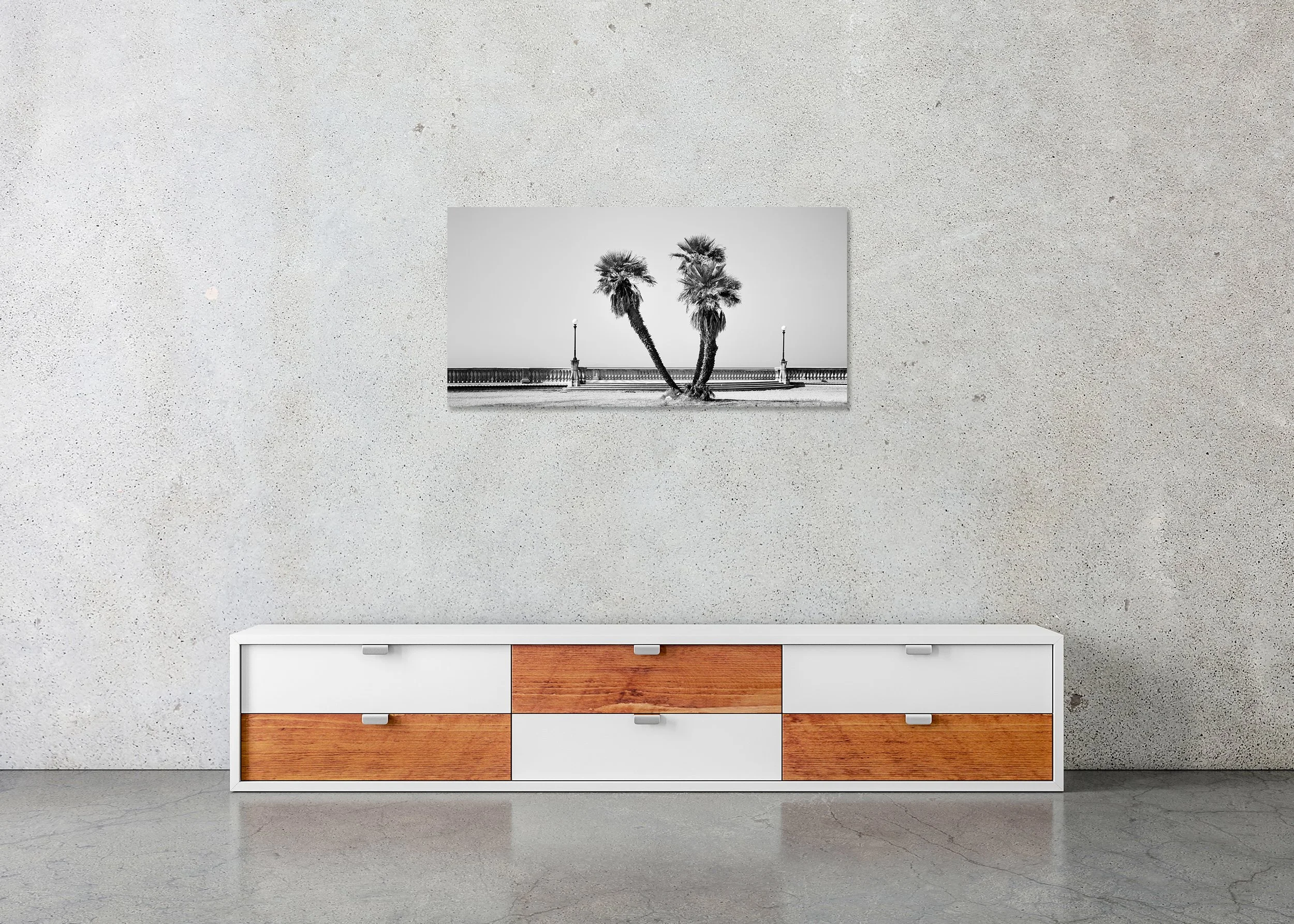 Monochrome panoramic photo of two leaning palm trees on Terrazza Mascagni, Tuscany, frameless ChromaLuxe aluminium metal print