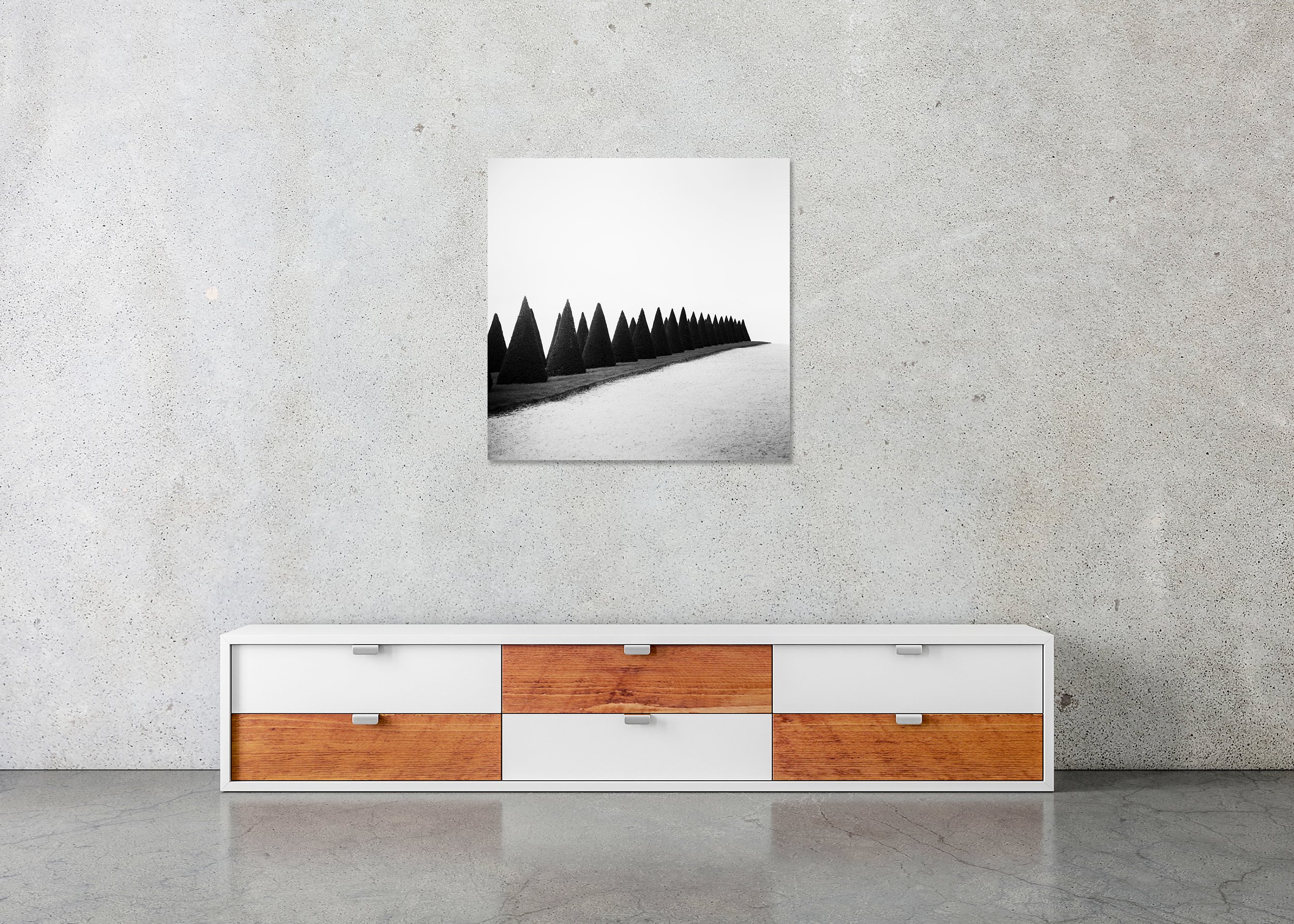 Hedges, Study 1 – frameless black-and-white photograph mounted on aluminium Dibond displayed in a minimalist interior.