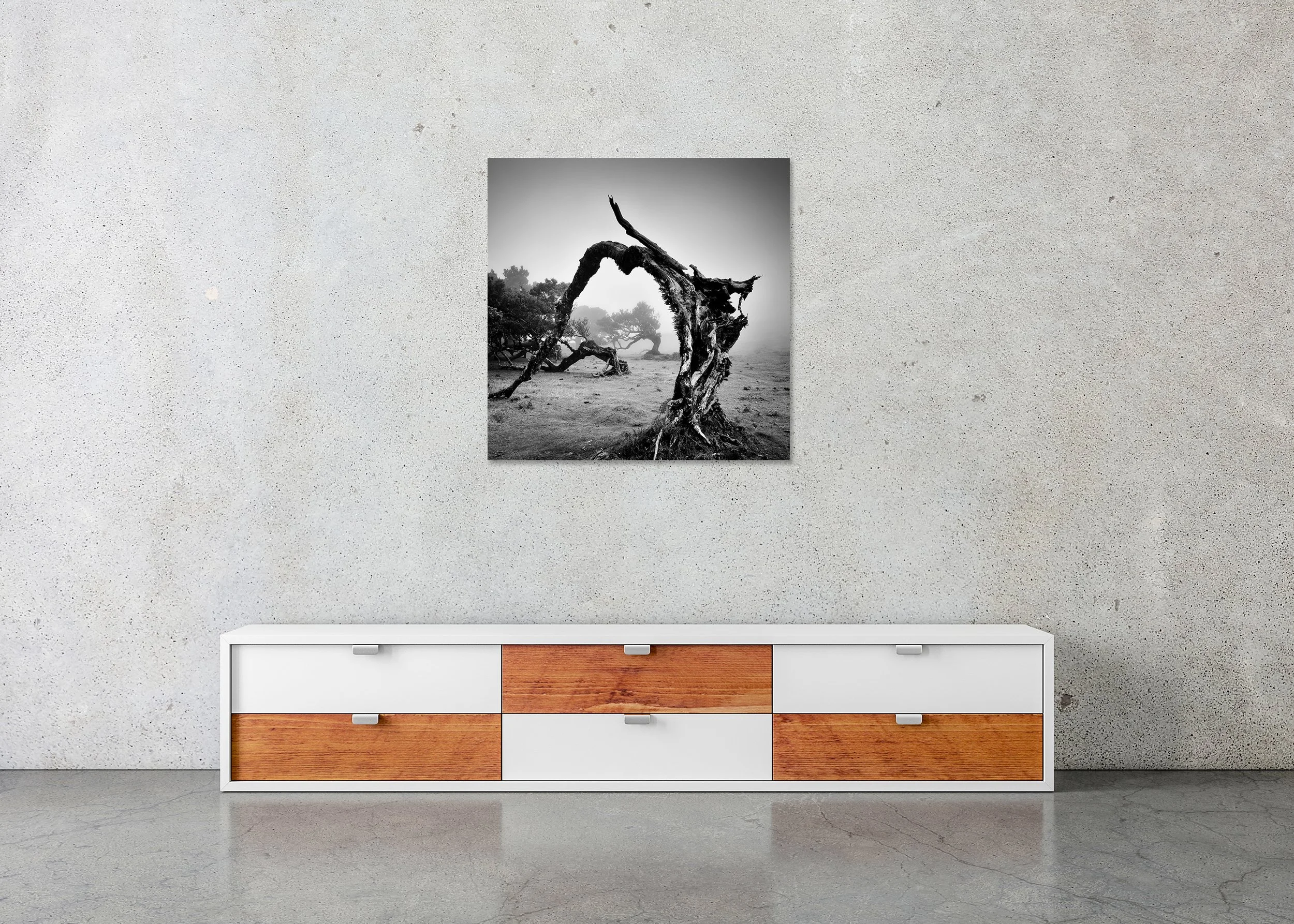Frameless ChromaLuxe metal print showing a foggy Fanal Forest in Madeira, black and white, with windswept trees and moody light