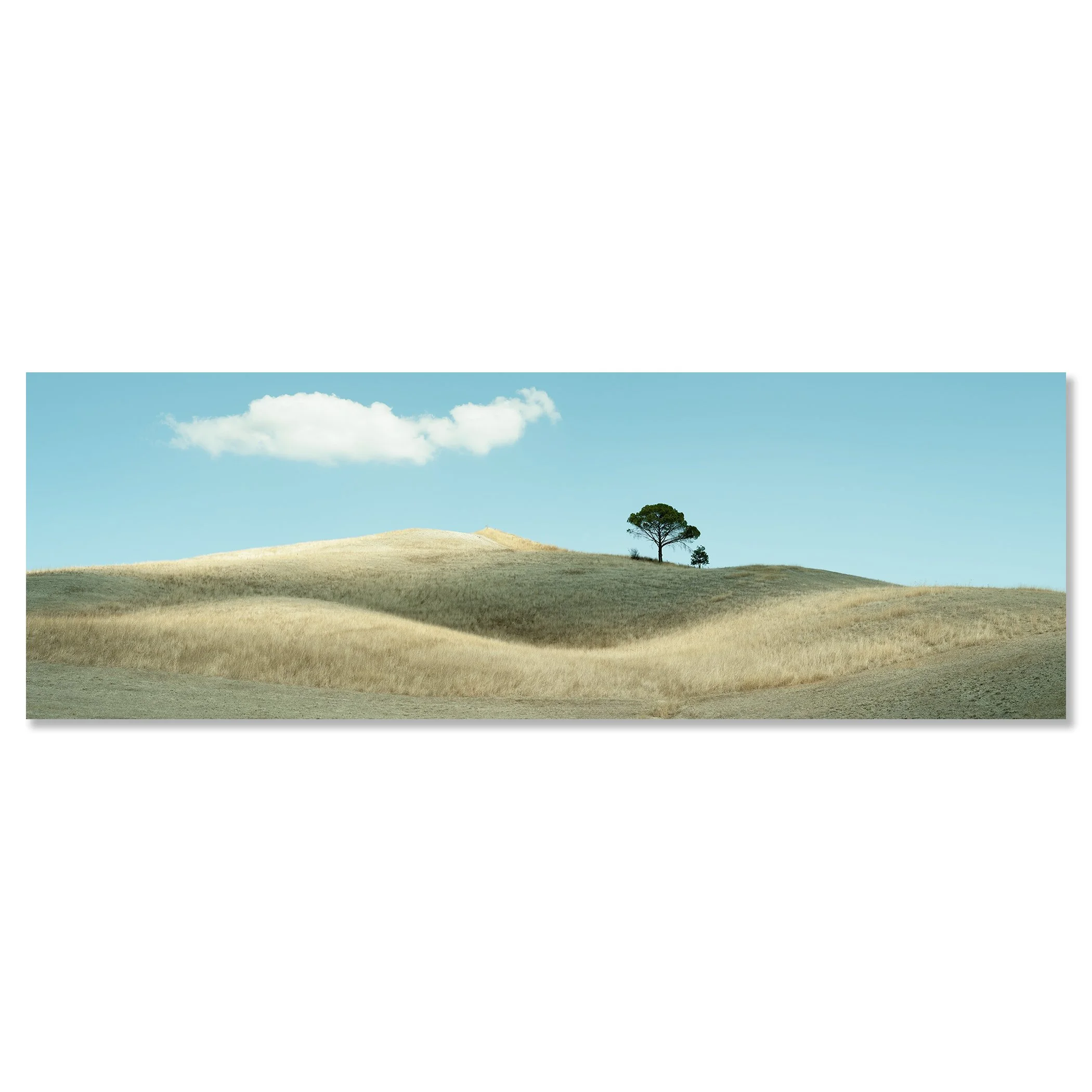 Scenic Tuscany countryside with sunlit hills, a lone tree, and clear blue sky – dibond frameless