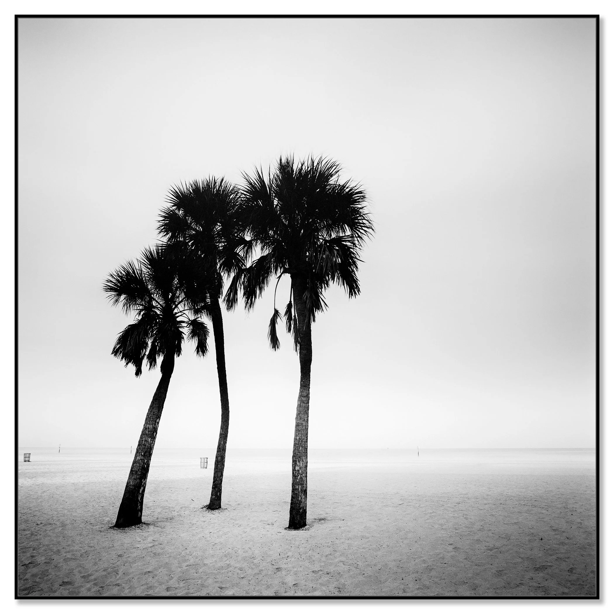 Palm Beach Study 1 by Gerald Berghammer, black-and-white Dibond print in a black aluminium ArtBox frame.