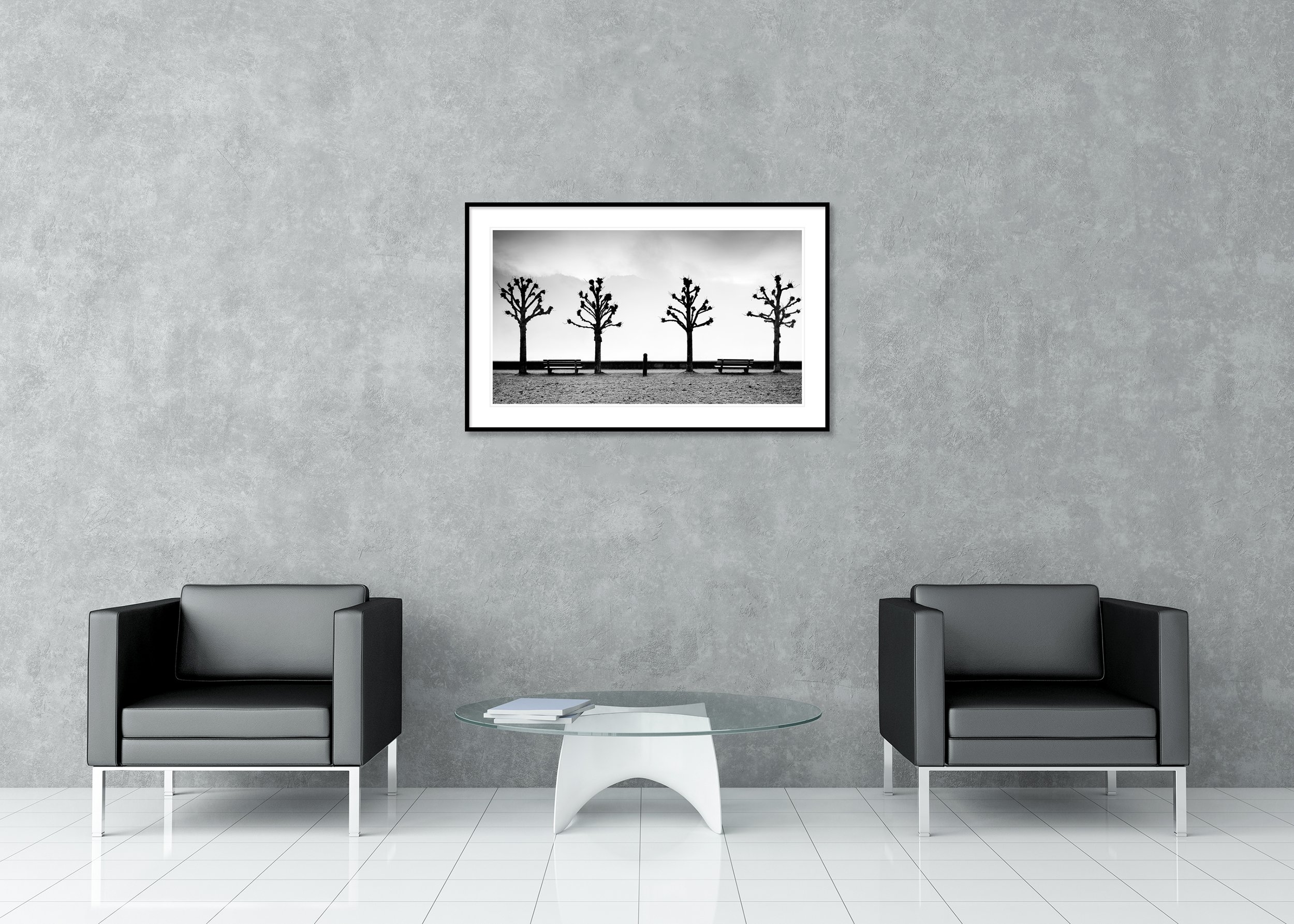 Black and white winter view of Lake Traunsee with four pruned chestnut trees, two benches and misty mountains, archival pigment print in a classic frame