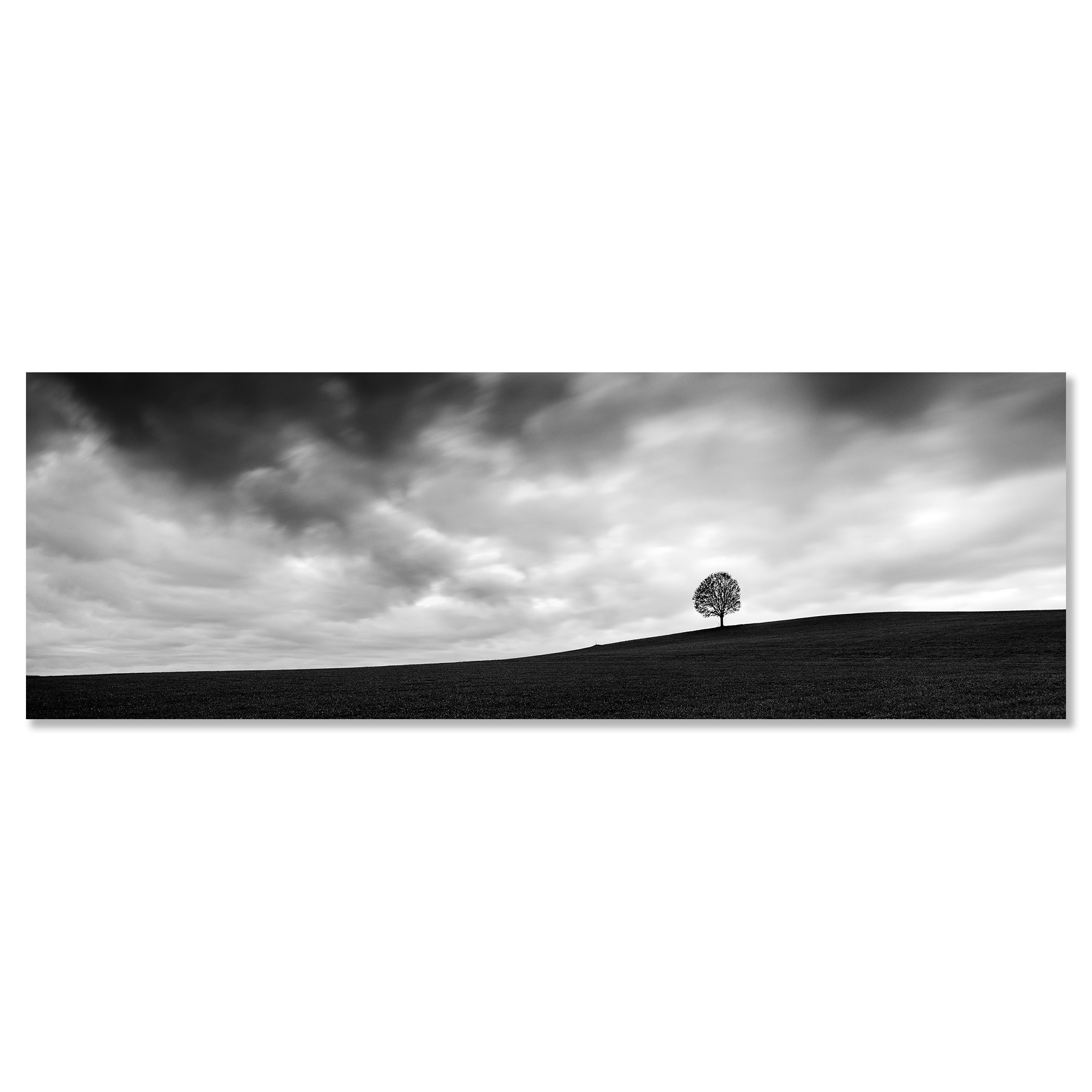 Gerald Berghammer - Black and white panorama landscape photography. A cloudy sky over a hill on a farmland with a single tree on the horizon. Chromaluxe frameless