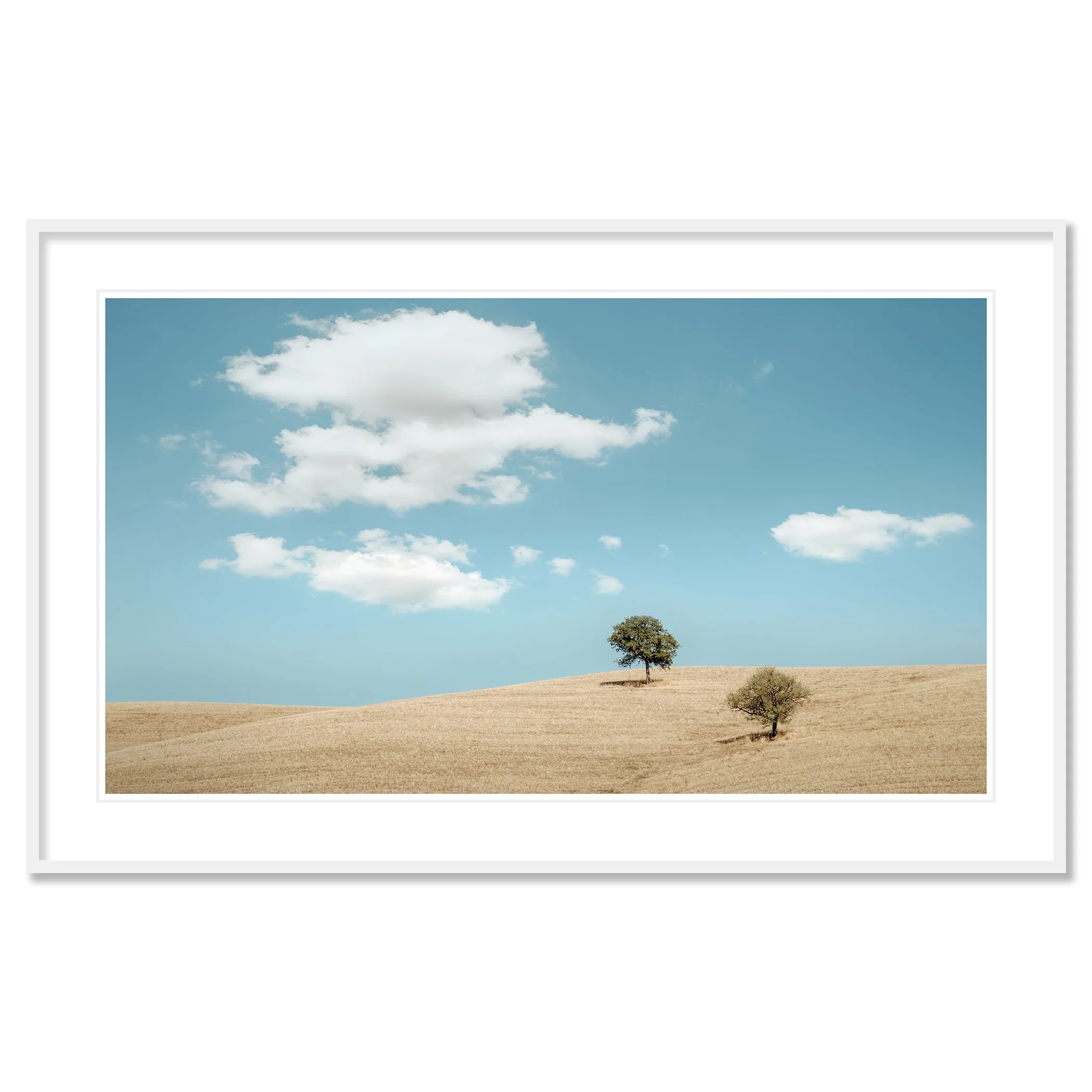Rolling Hills with Trees – Tuscany fine art print in a white aluminium frame with white mount