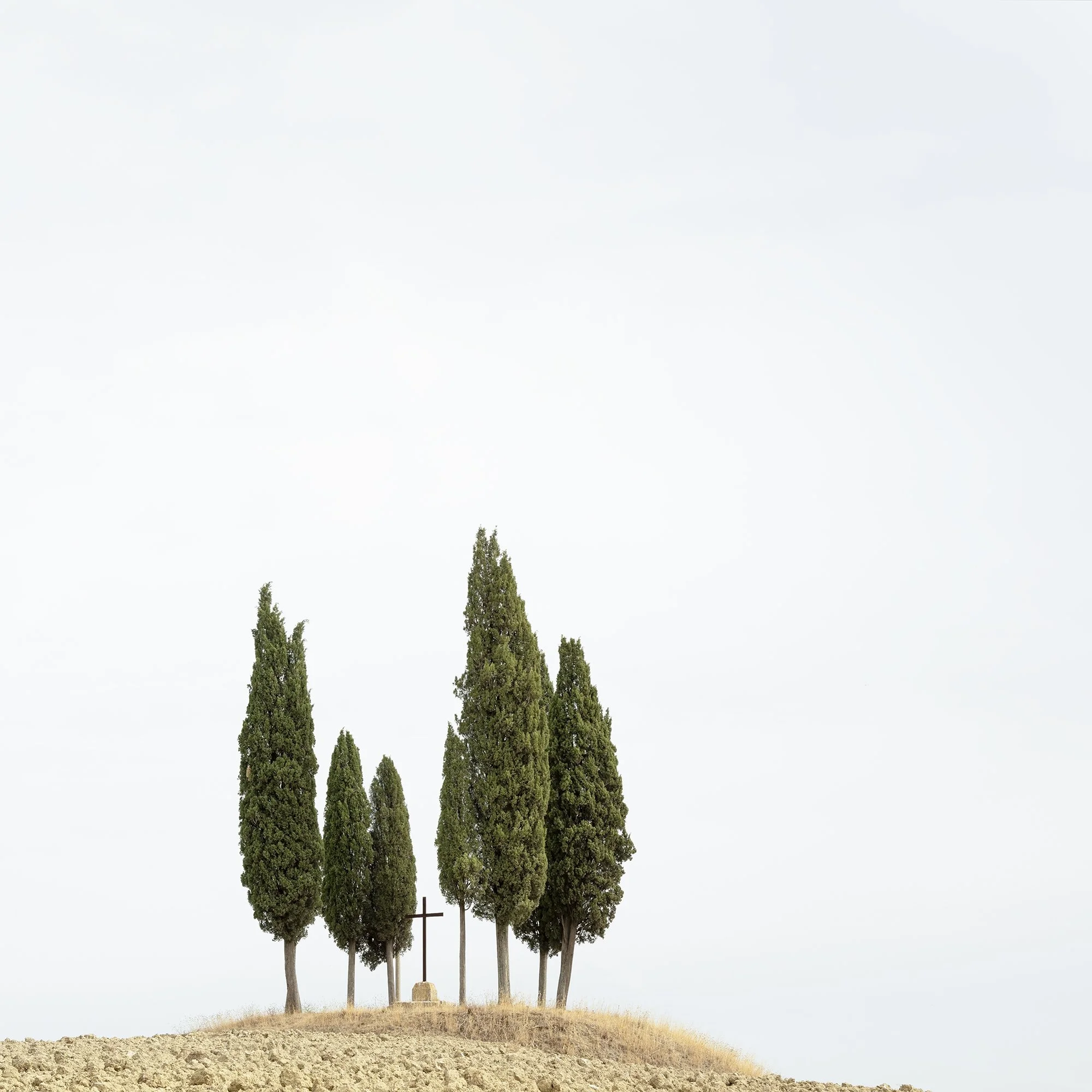 Gerald Berghammer - Color minimalist landscape photography. A small group of tall, slender cypress trees on a dry, barren hilltop against a cloudy sky. Print detail 2