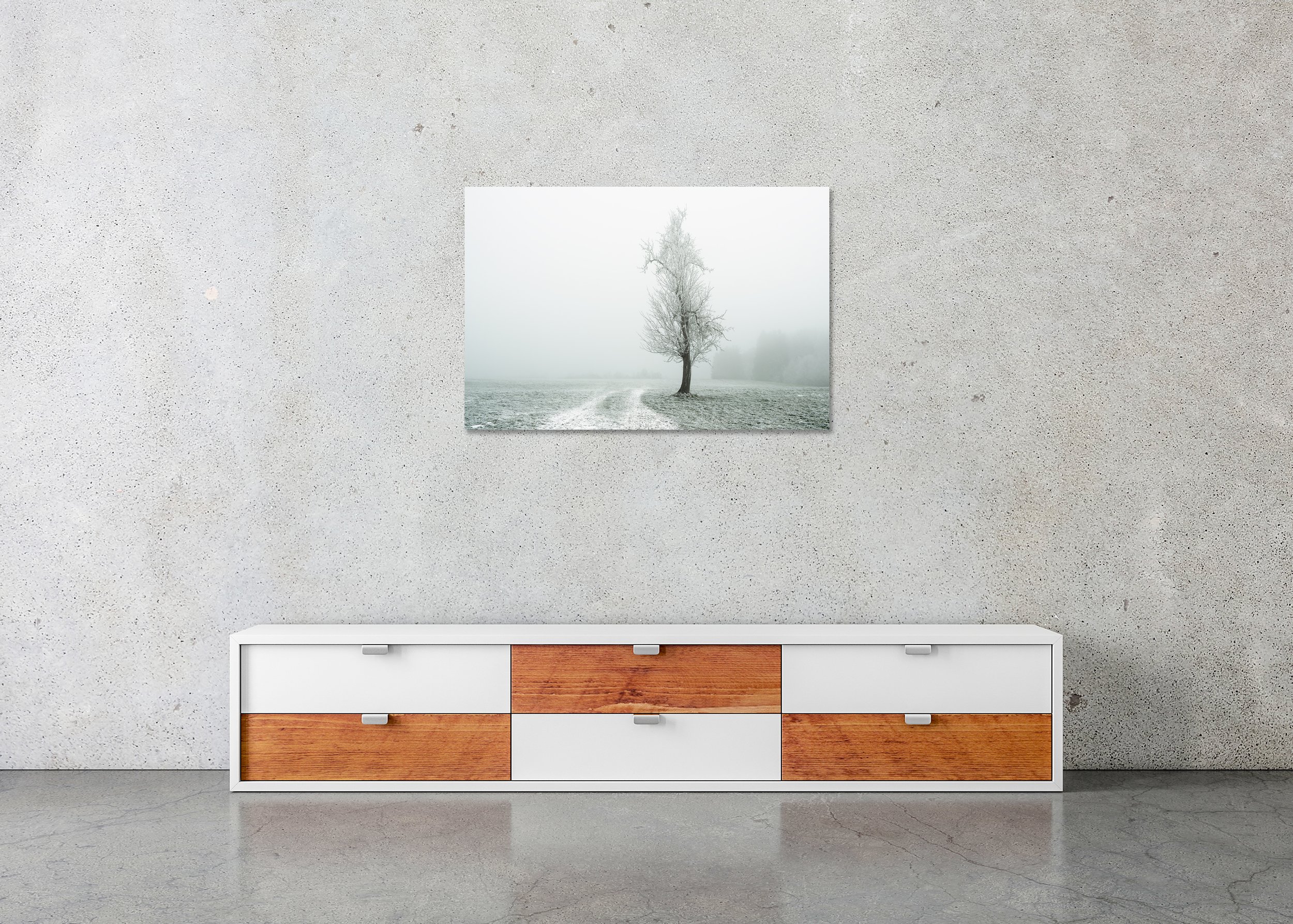 Lonely Tree on the White Path – Austria, frameless colour photograph on aluminium Dibond displayed in a minimalist interior.