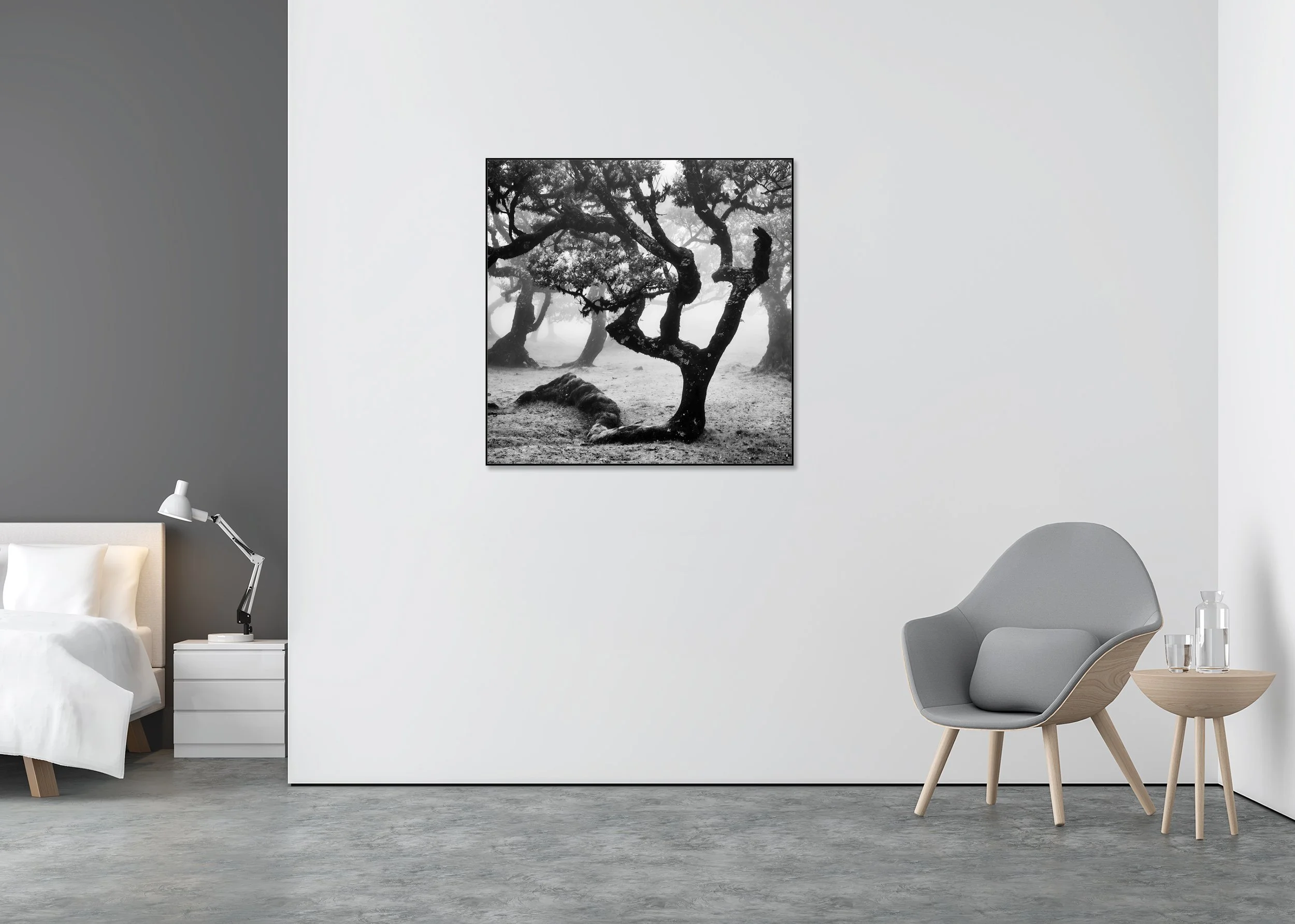 Black-and-white fine art nature photograph of twisted, ancient trees in a foggy forest landscape on Madeira, presented as a ChromaLuxe metal print in an aluminium ArtBox.