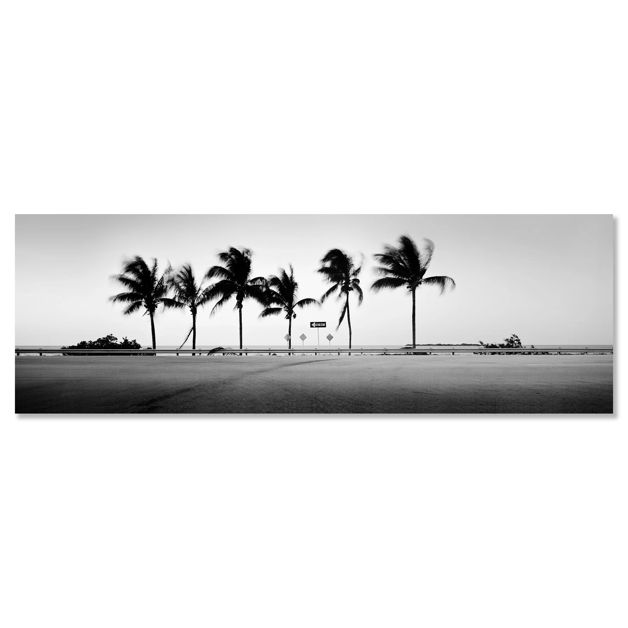 One Way Panorama Study 1 displayed as a frameless black-and-white artwork mounted on aluminium Dibond by Gerald Berghammer.
