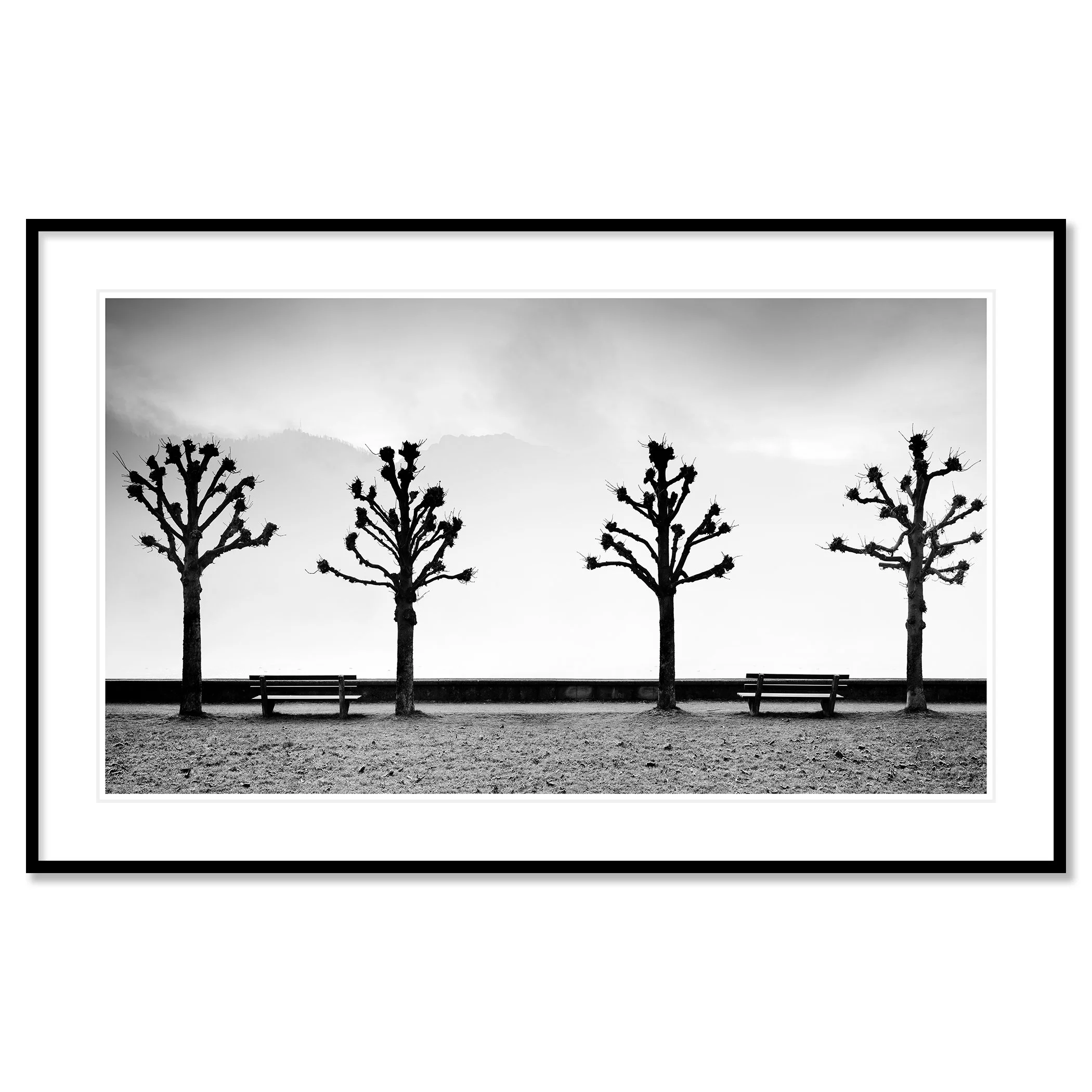 Esplanade with Chestnut Trees by Gerald Berghammer, archival pigment print in a black aluminium frame with white mount.