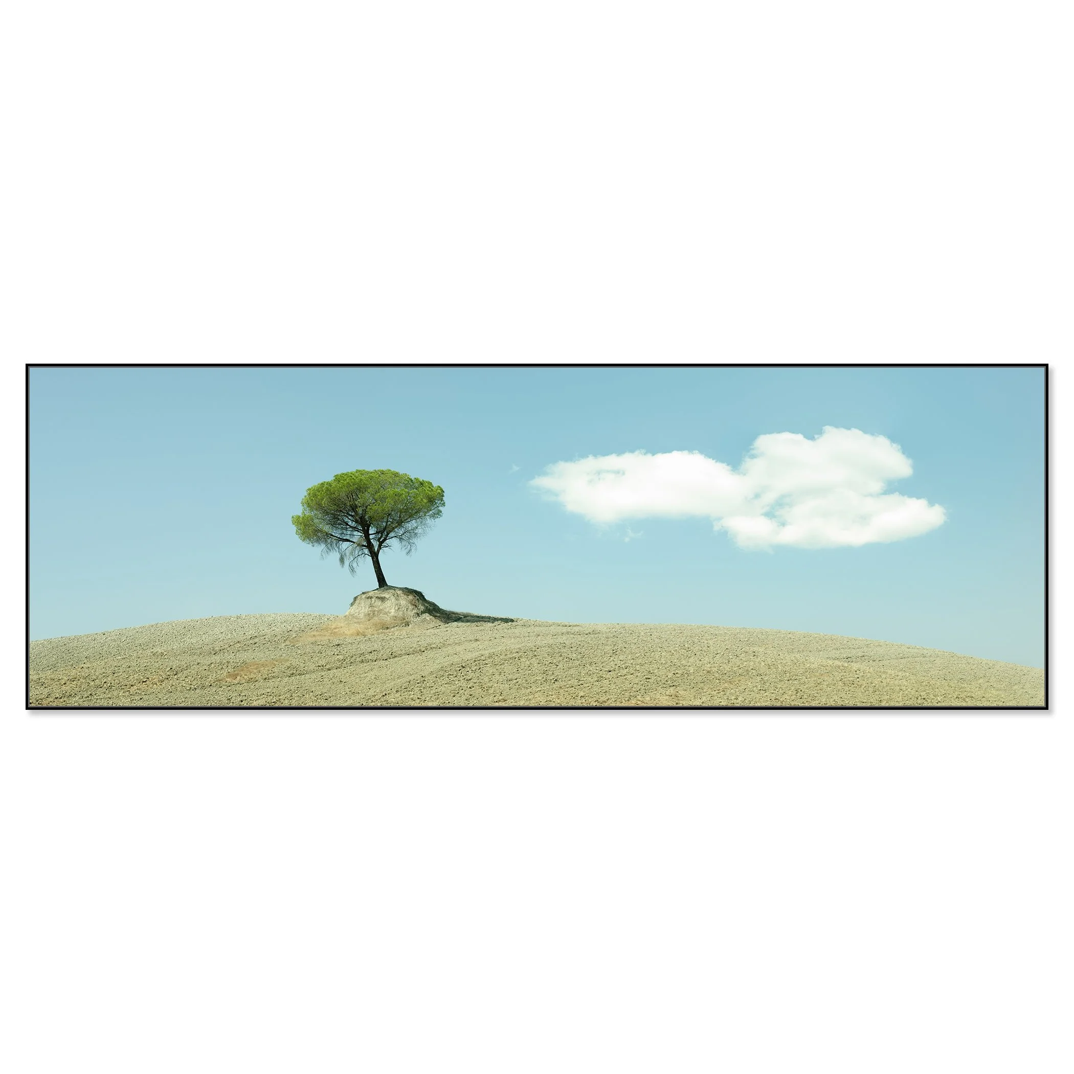Solitary tree in Tuscany standing on a barren hill with soft white clouds – framed ArtBox black