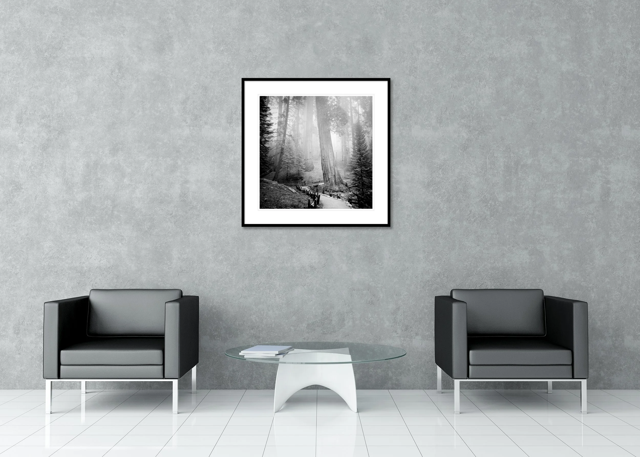 Redwood Study 1 by Gerald Berghammer shown as an archival pigment print in a classic frame with mount.