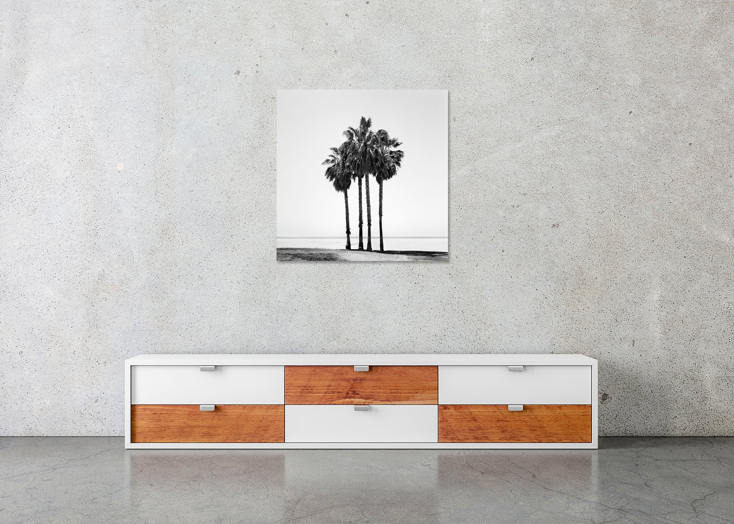 Four Palm Trees displayed in a modern interior as a frameless black-and-white aluminium Dibond print by Gerald Berghammer.