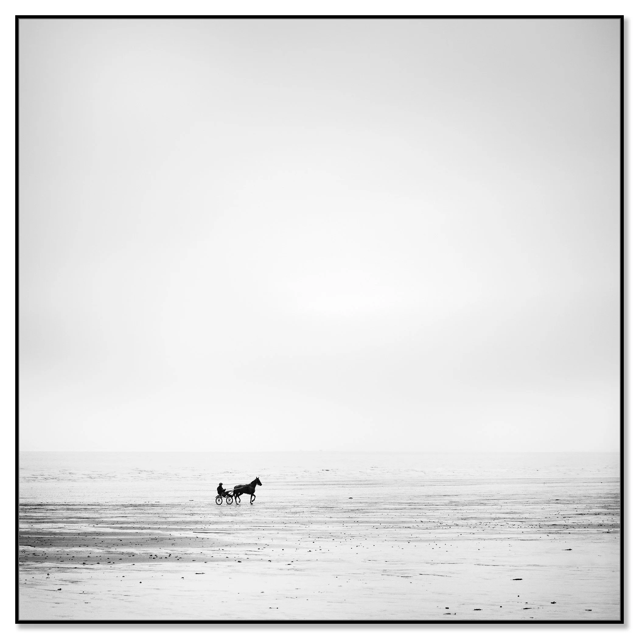 Black-and-white harness-racing horse and sulky speeding along an empty shoreline – framed ArtBox black