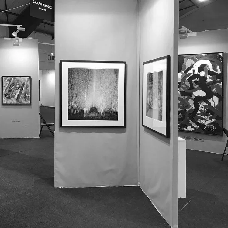 Galerie Arnoux exhibition stand at ST-ART Strasbourg 2017, showing a black-and-white tree photograph by Gerald Berghammer alongside contemporary paintings and sculpture.