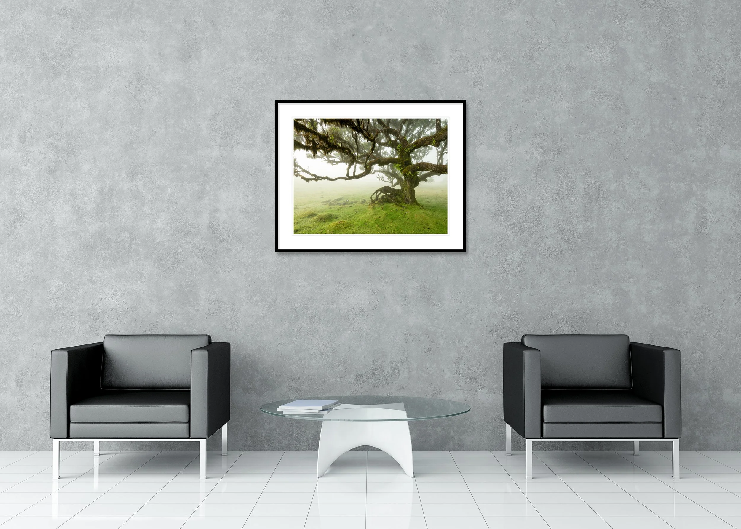 Archival pigment print in a classic frame with passe-partout featuring an ancient moss-covered tree with sprawling branches in a misty green forest meadow.