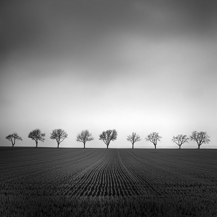 Nine Cherry Trees Study 2 – Austria | Gerald Berghammer