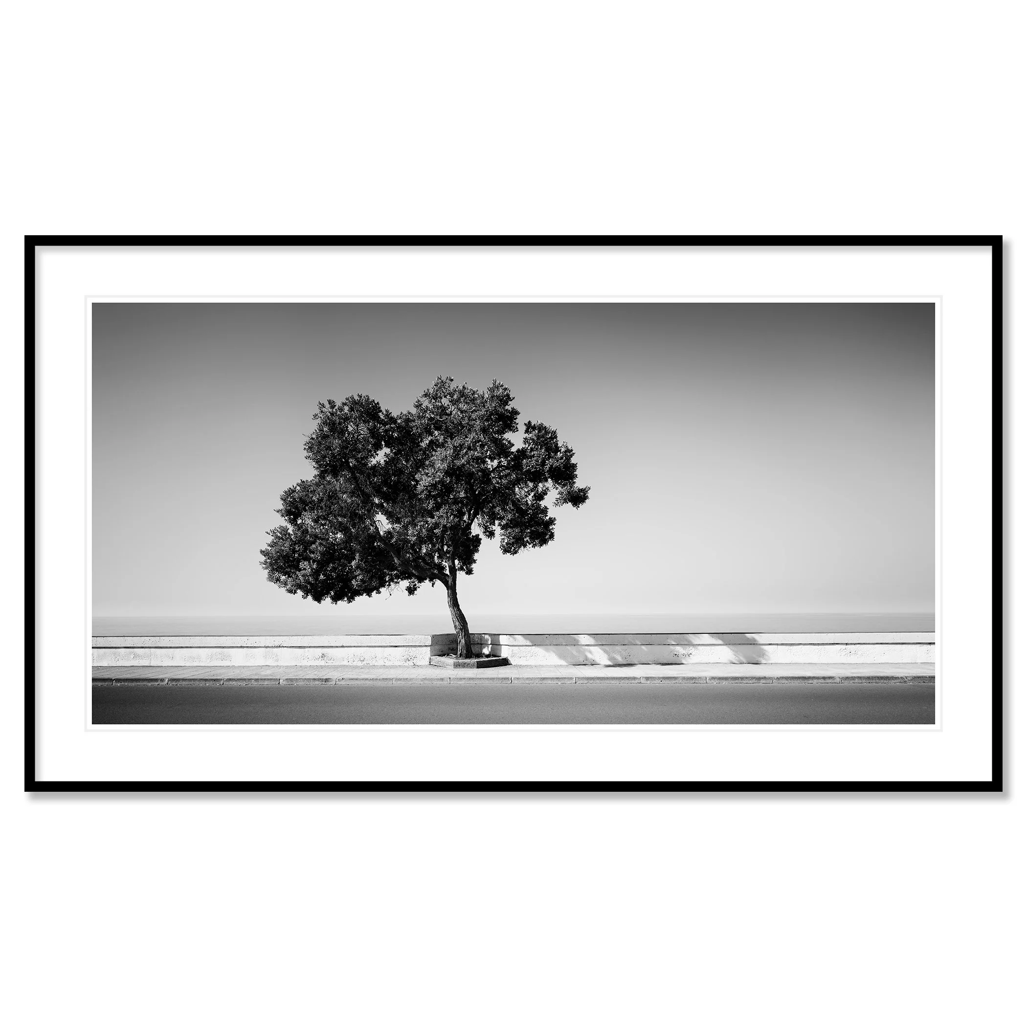 Tree by the Waterfront by Gerald Berghammer, black-and-white fine art print in a black aluminium frame with white mount.