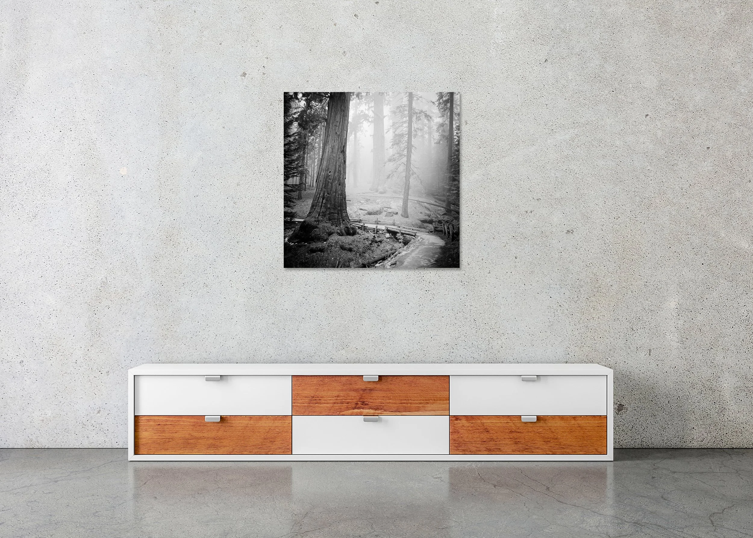 Redwood Study 2 displayed in a modern interior as a frameless black-and-white artwork mounted on aluminium Dibond by Gerald Berghammer.