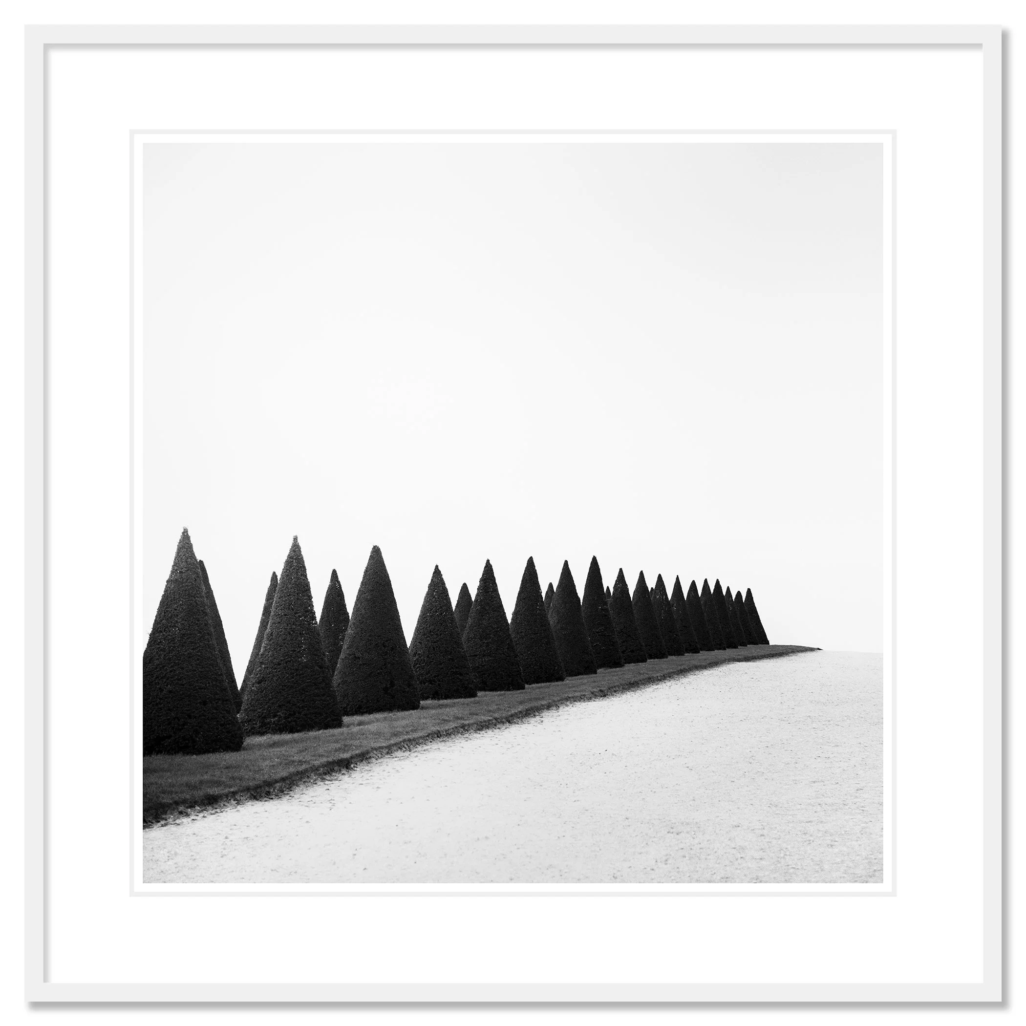 Hedges, Study 1 – black-and-white fine art print of Versailles hedges in a white aluminium frame with a white mount by Gerald Berghammer.