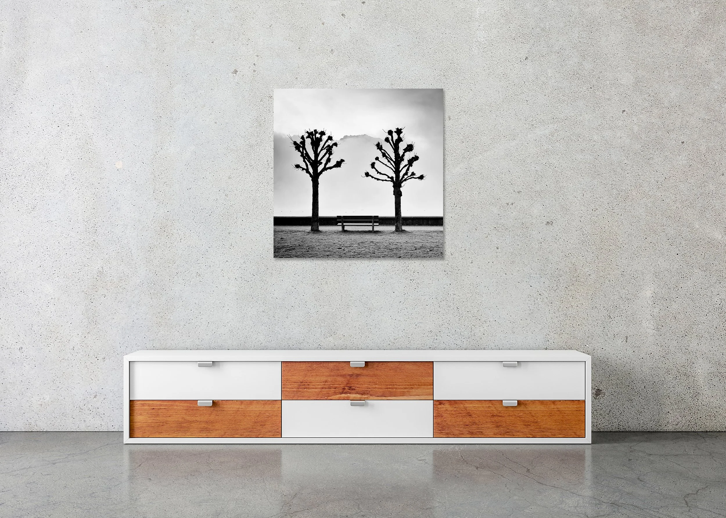 Symmetrical black-and-white photo of two pruned trees framing a centred bench on a misty lakeside promenade, photo print mounted to Dibond, frameless.