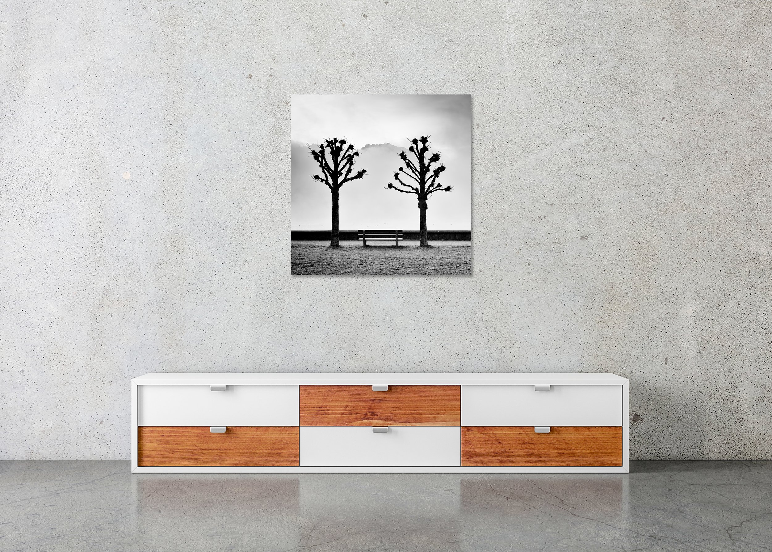 Symmetrical black and white photo of two pruned trees framing a bench centred on the lakeside promenade, ChromaLuxe metal print with a frameless finish.