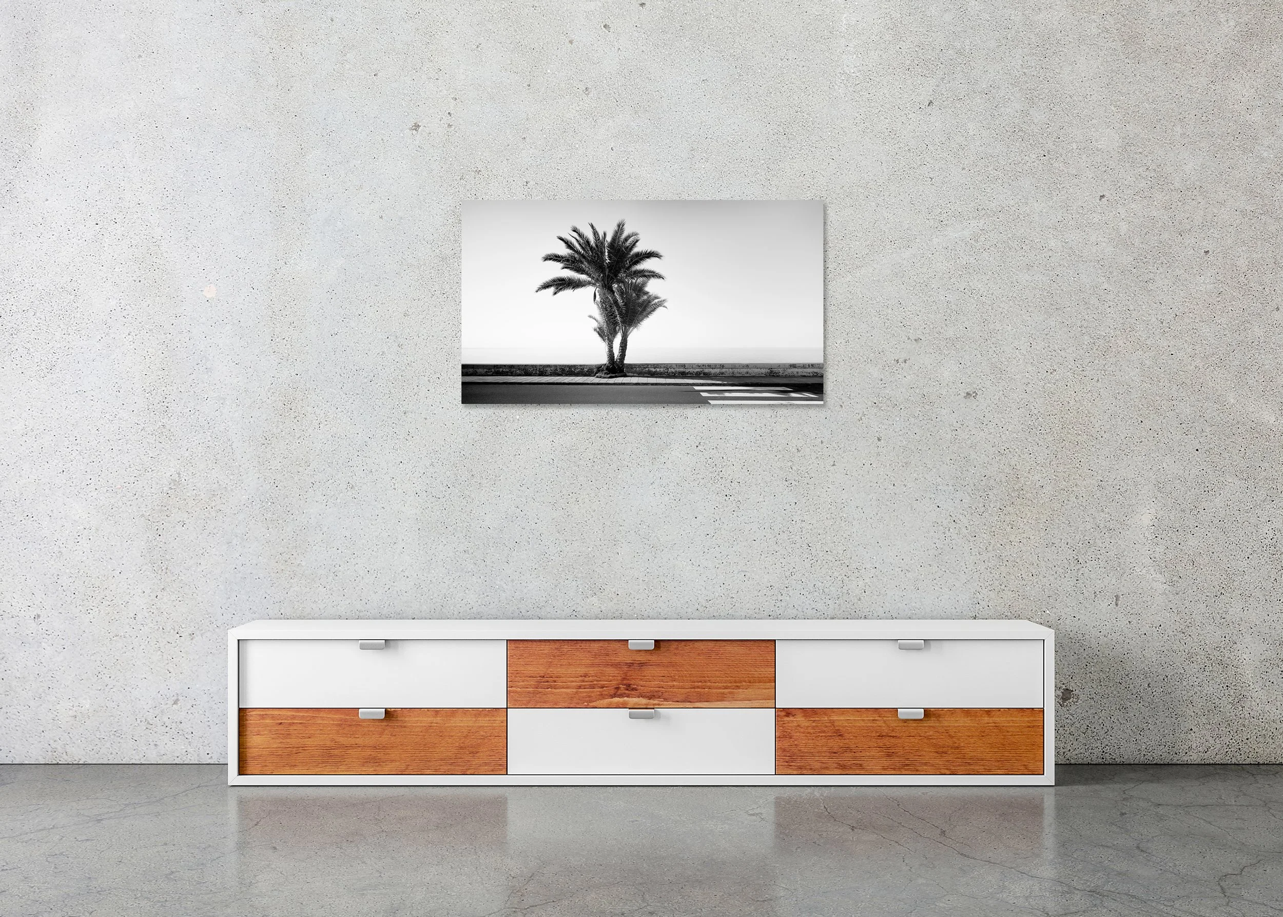 Palm Tree on the Roadside Study 2 by Gerald Berghammer, frameless black-and-white Dibond print displayed above a sideboard in a contemporary interior.