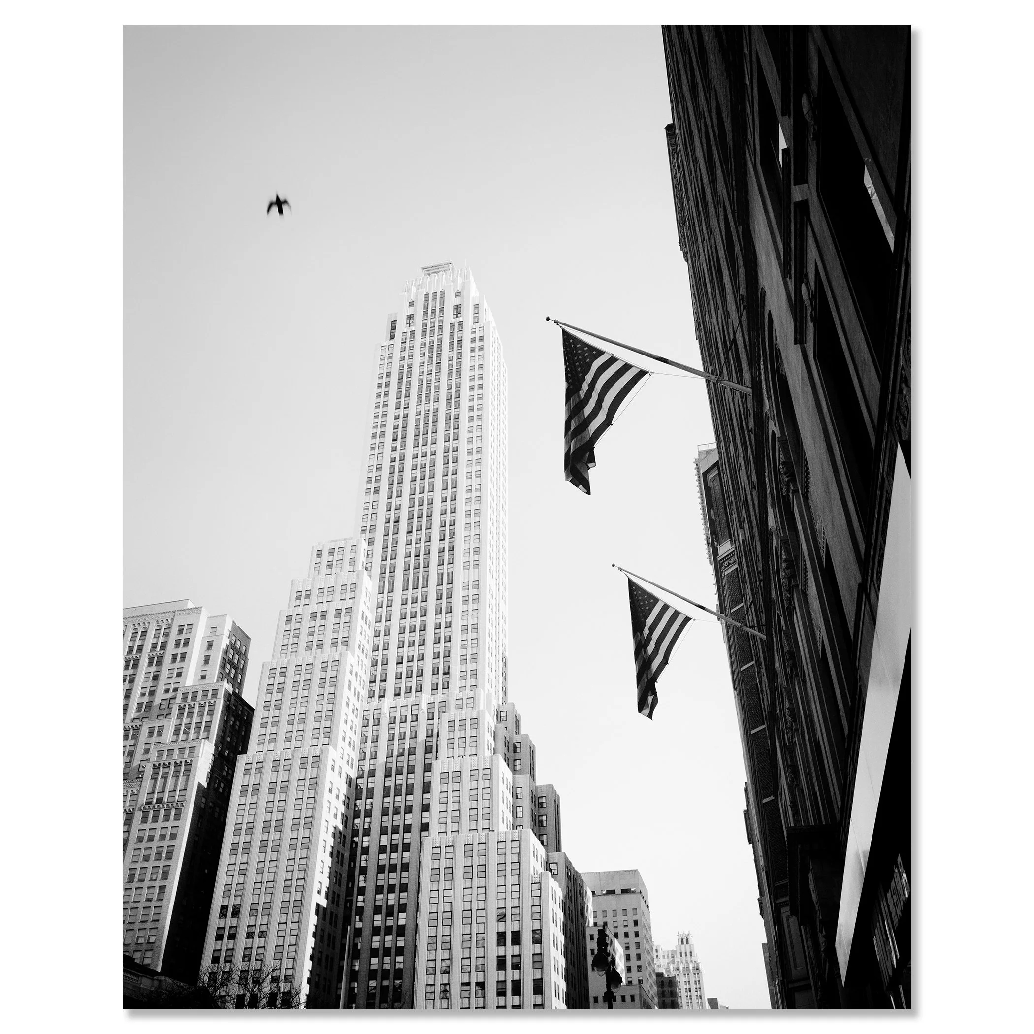 Bird in the City – New York City, USA, shown as a black-and-white photograph mounted on frameless Dibond.