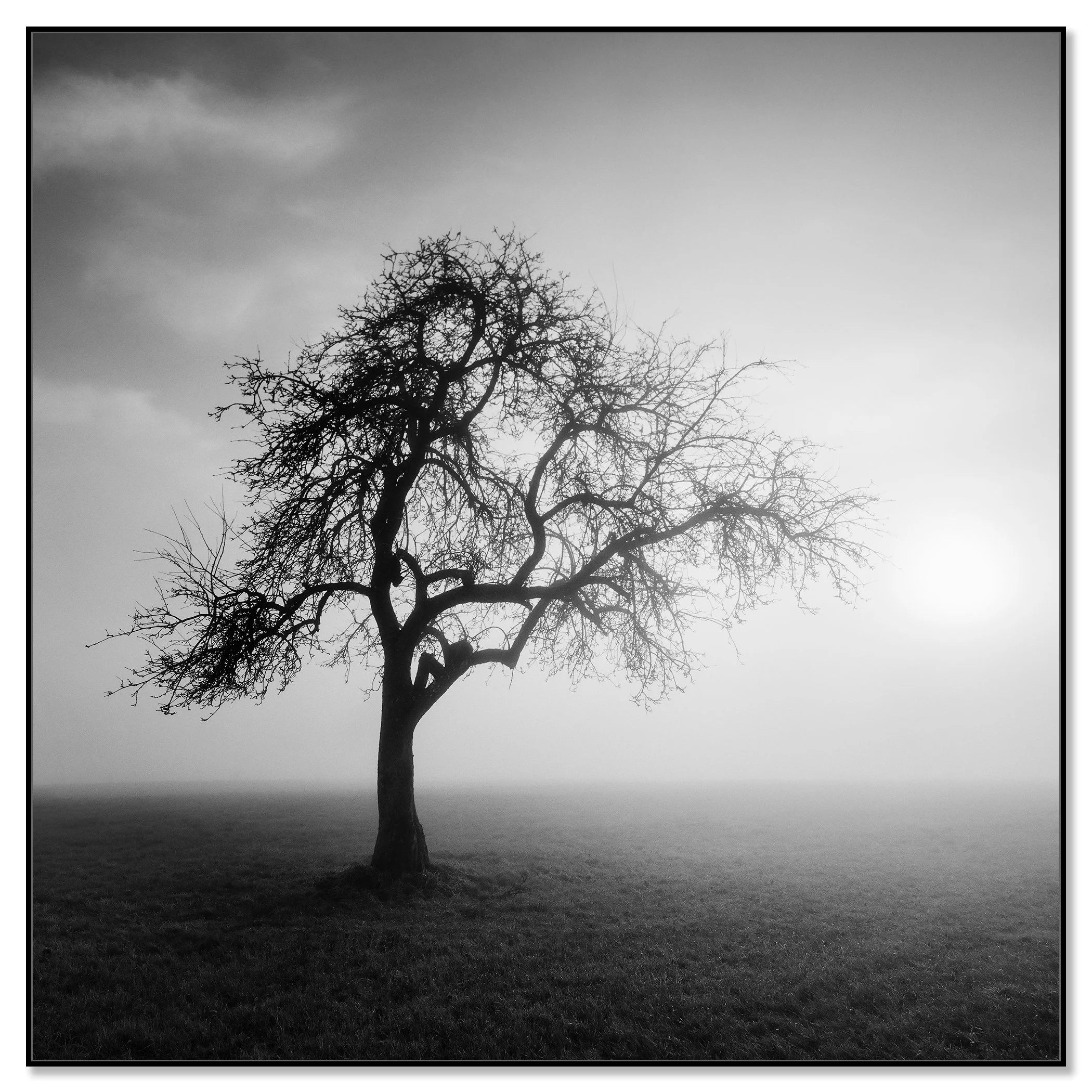 Foggy Morning, Study 1 – Austria, black-and-white photograph in a black aluminium ArtBox frame.