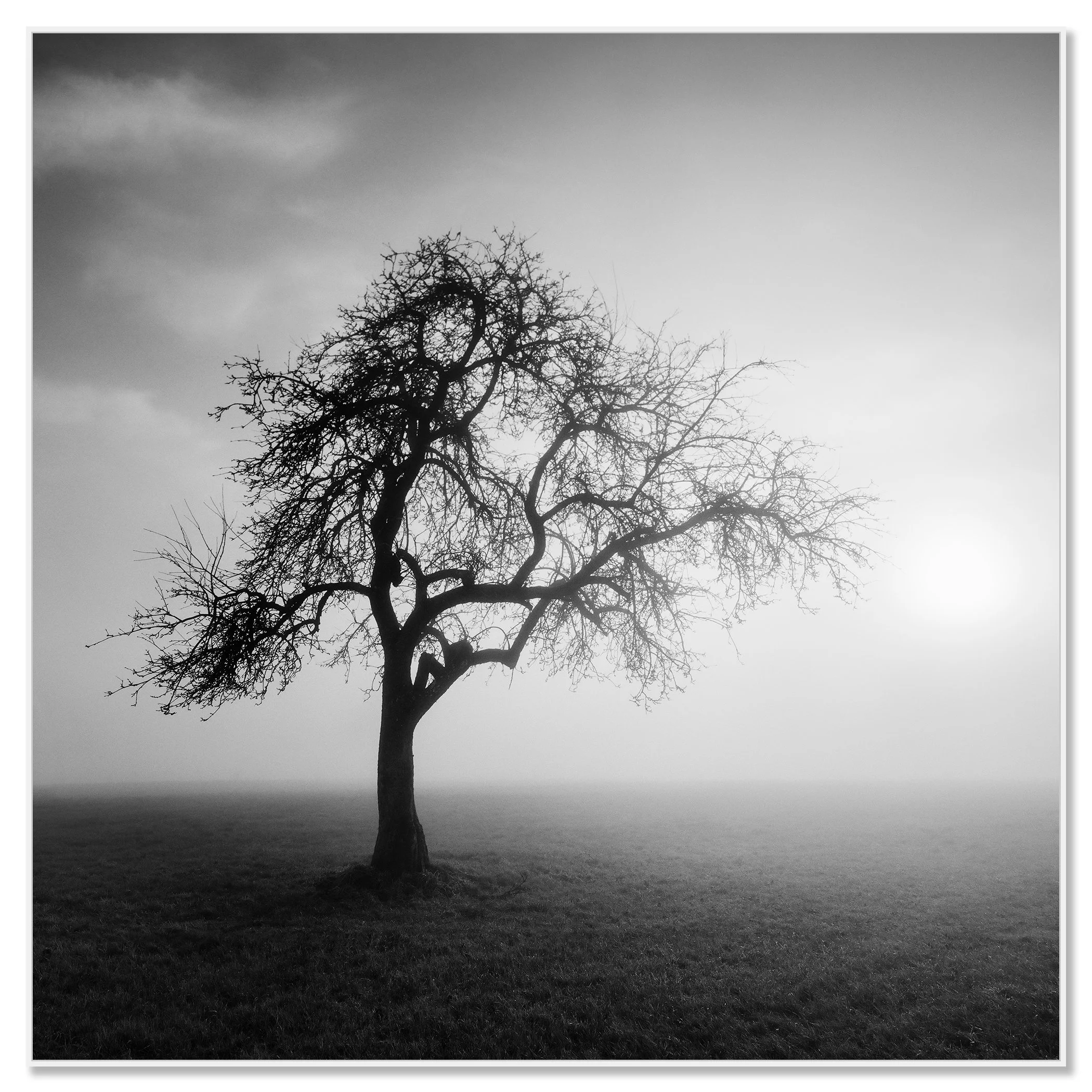 Foggy Morning, Study 1 – Austria, black-and-white photograph in a white aluminium ArtBox frame.