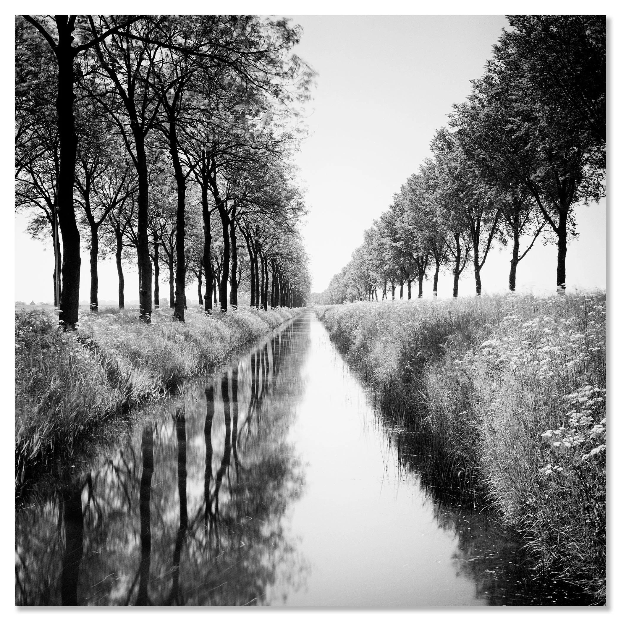 Gracht Study 1, Netherlands black-and-white photograph mounted on frameless aluminium Dibond