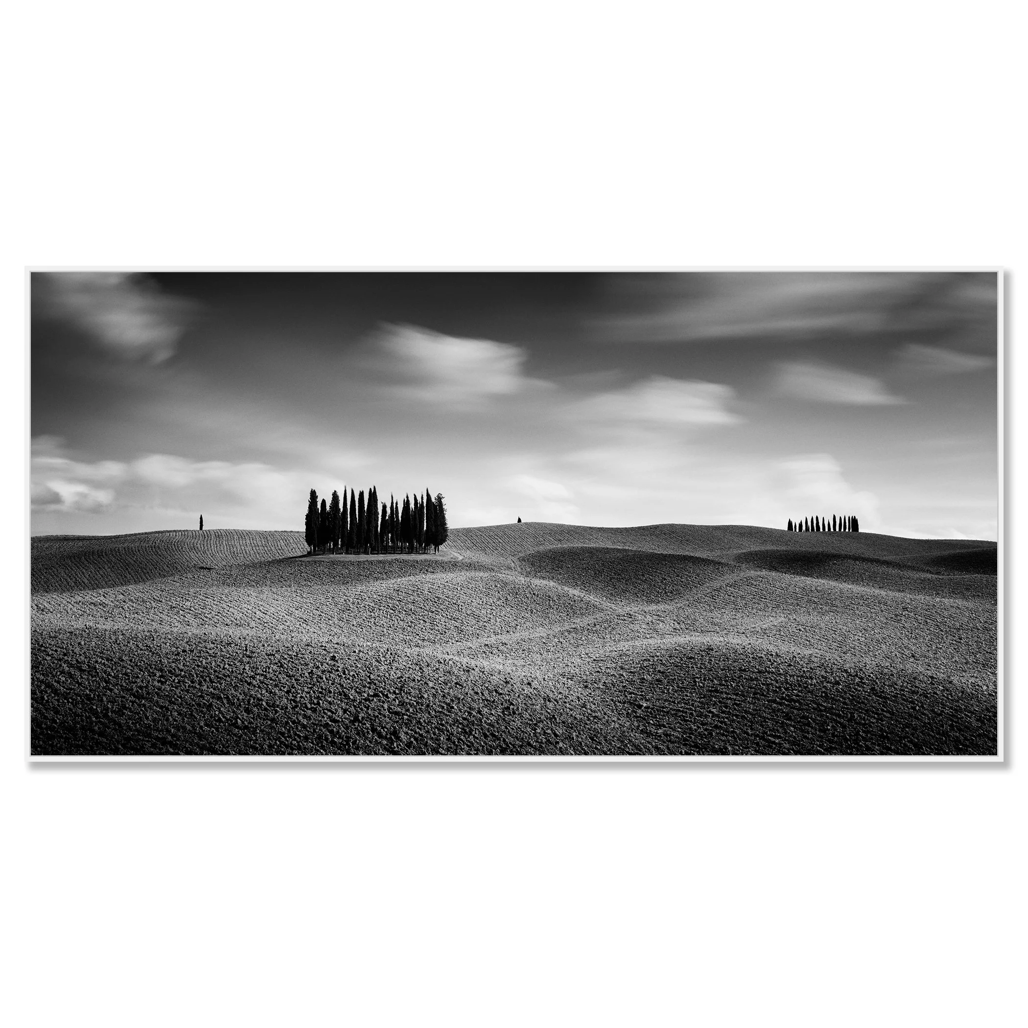 Cypress Hill Panorama Study 3 by Gerald Berghammer, black-and-white Dibond print in a white aluminium ArtBox frame.