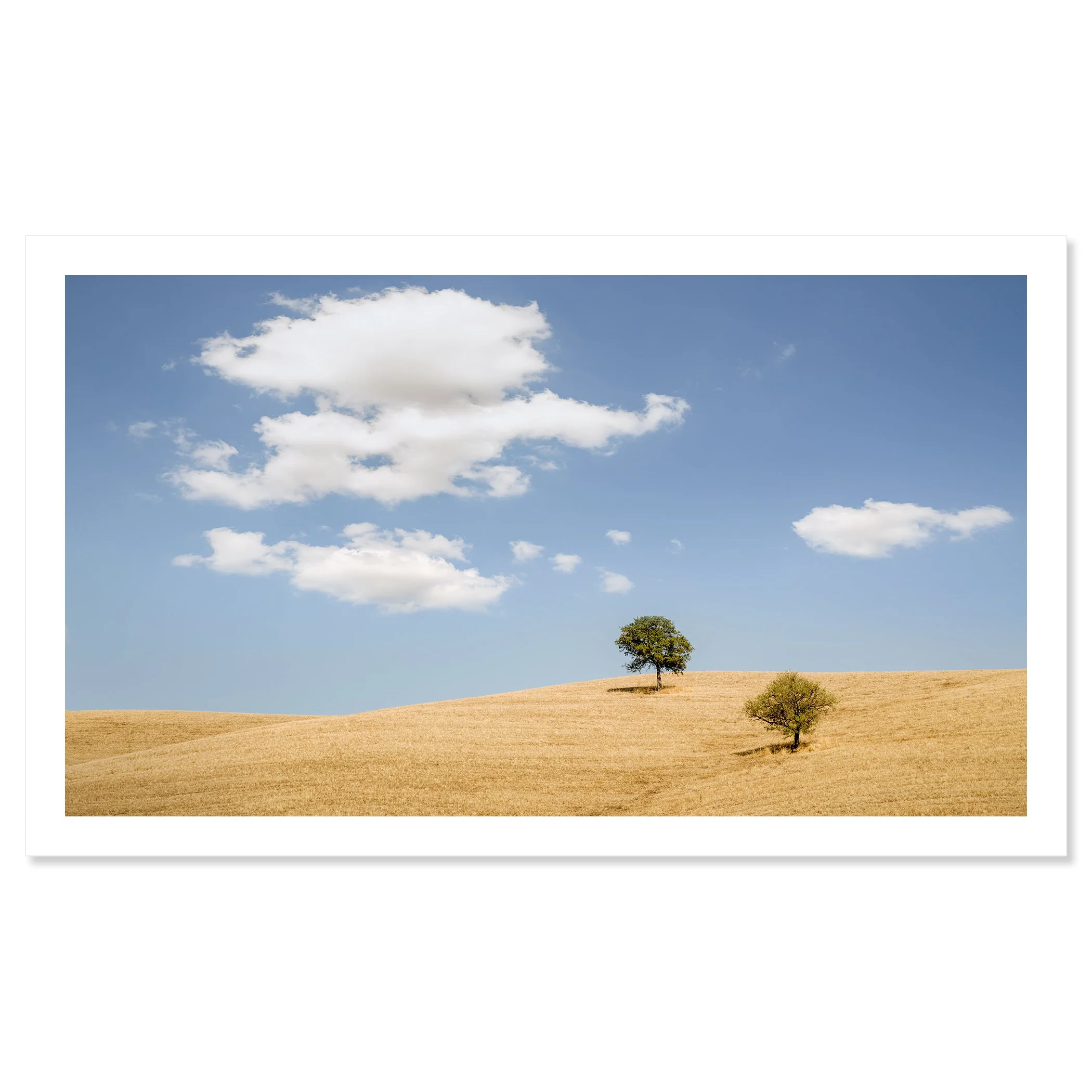 Gerald Berghammer - Black and white minimalist photography. Landscape with two trees on a rolling hill under a blue sky with scattered white clouds. Fine art print only