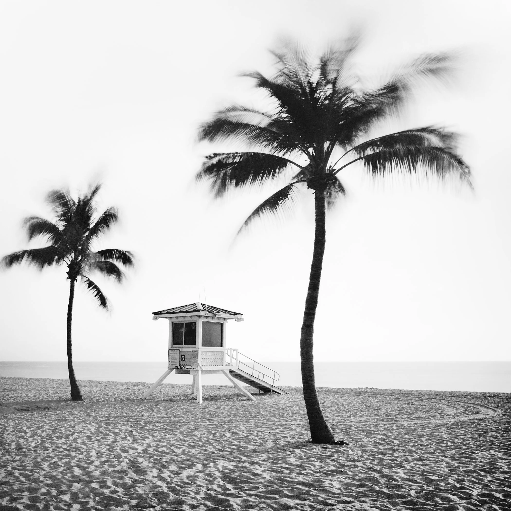 Fort Lauderdale Beach, Study 4 by Gerald Berghammer, analogue black-and-white photograph of two palm trees framing a lifeguard tower in Florida.